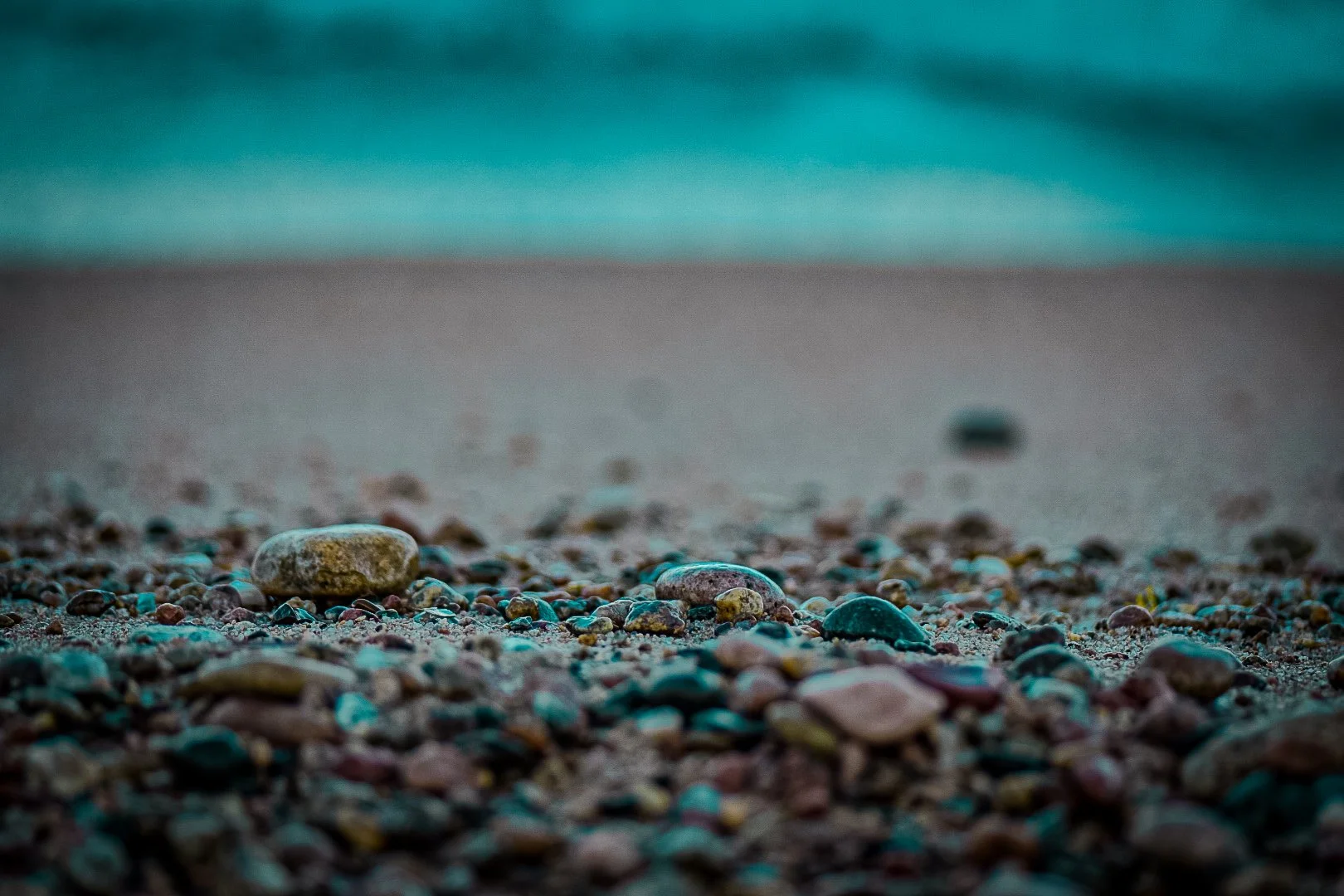 DSC_1426.jpeg