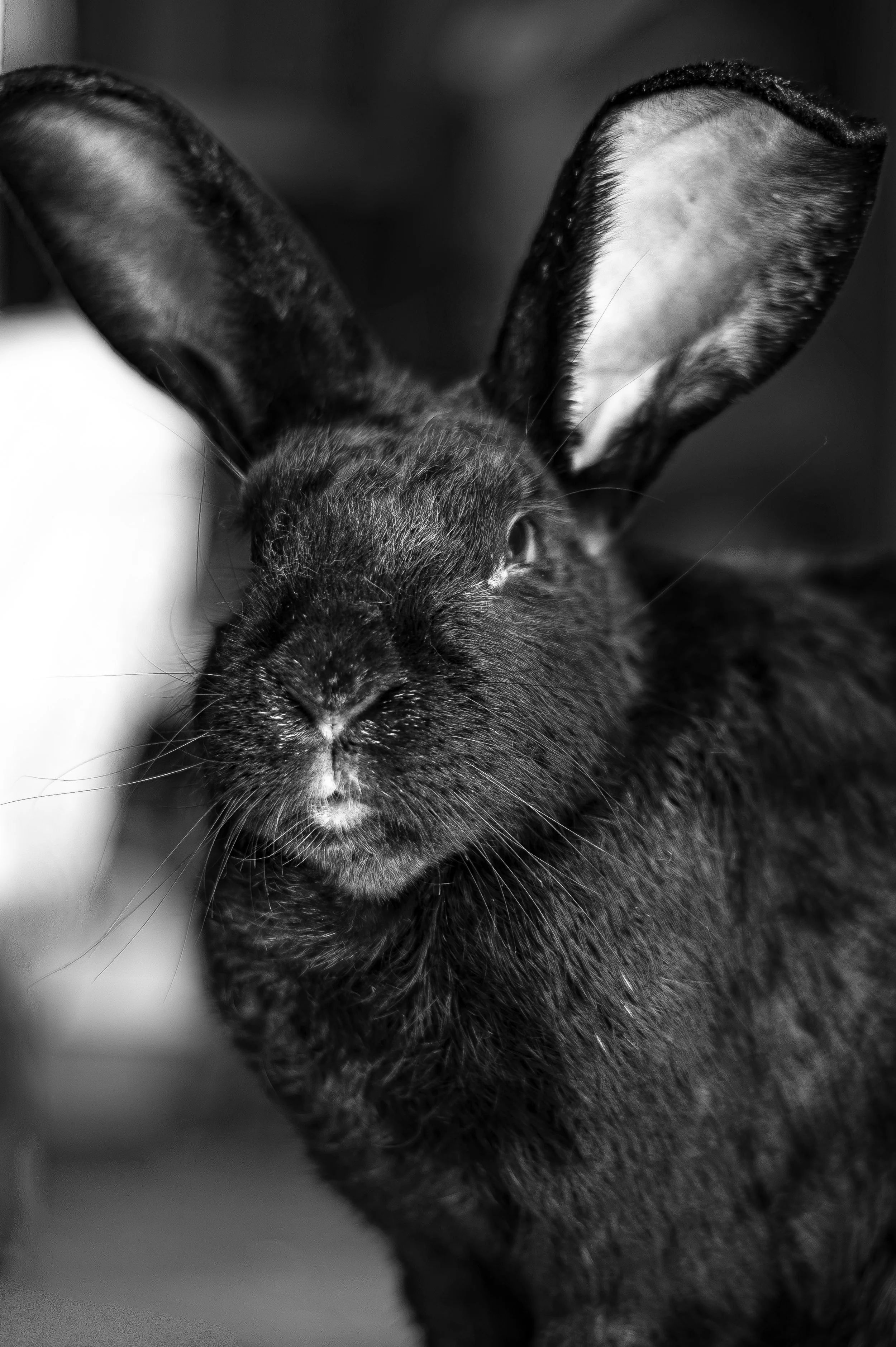 DSC_9902.jpeg