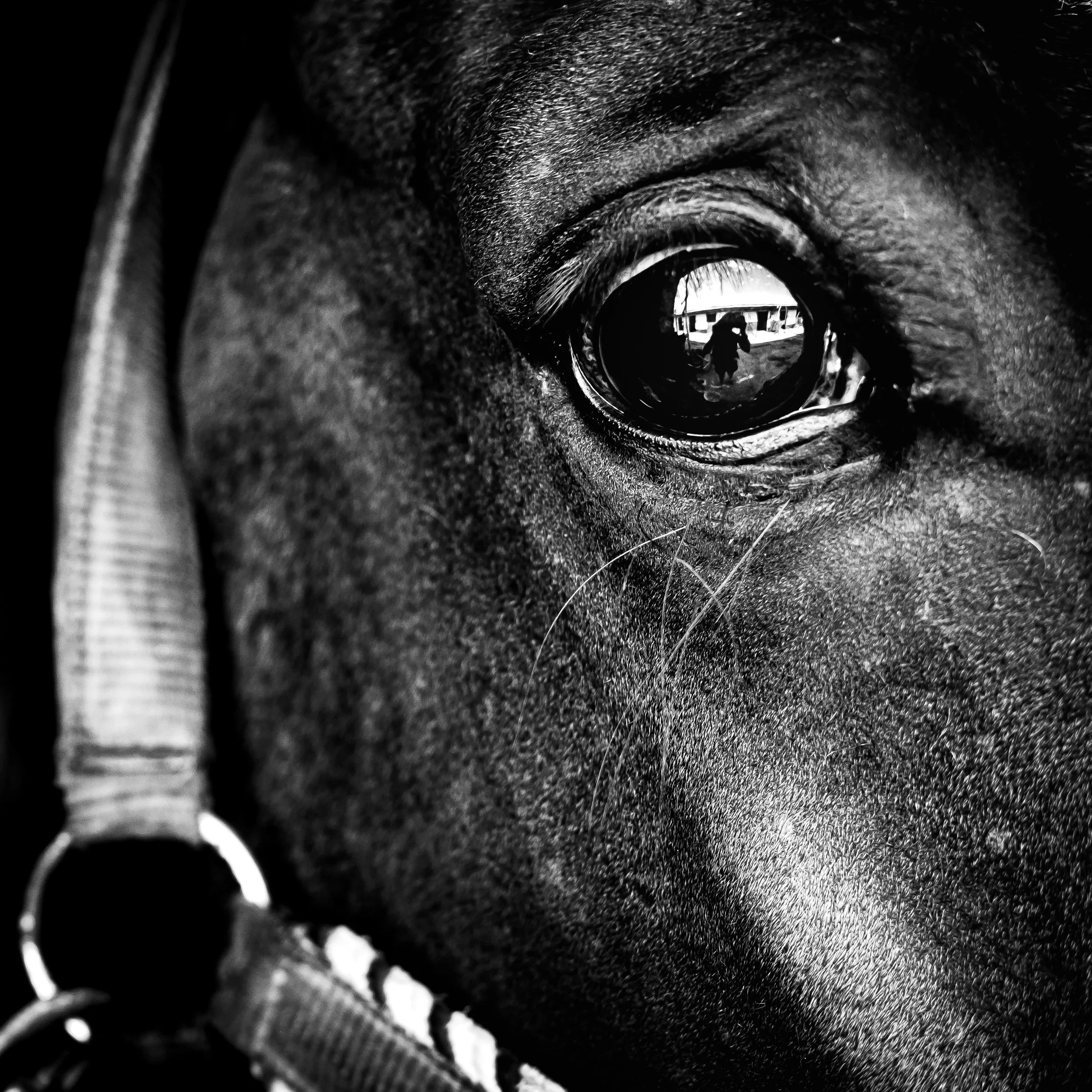 DSC_5974.jpeg