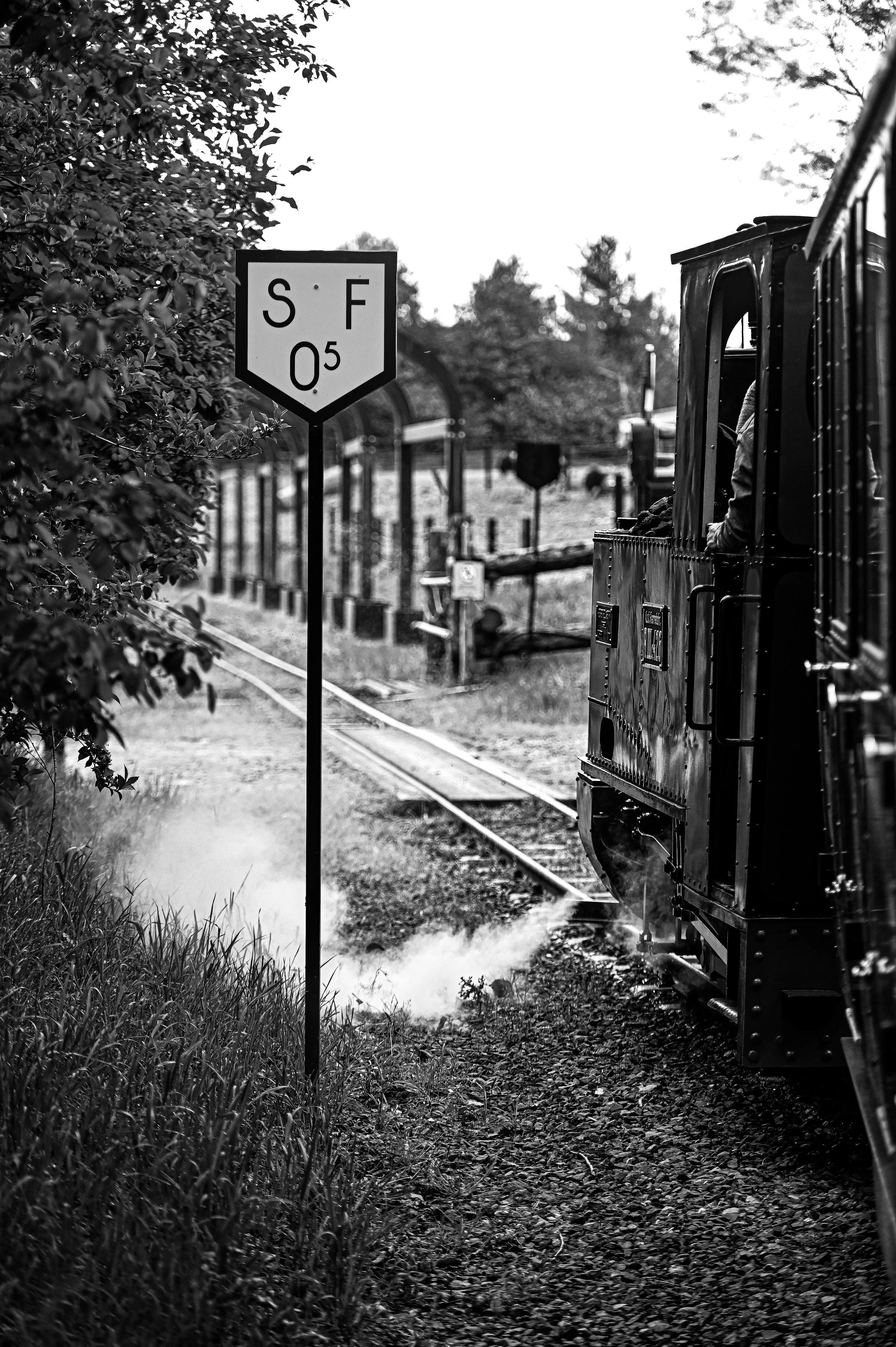 DSC_2017.jpeg