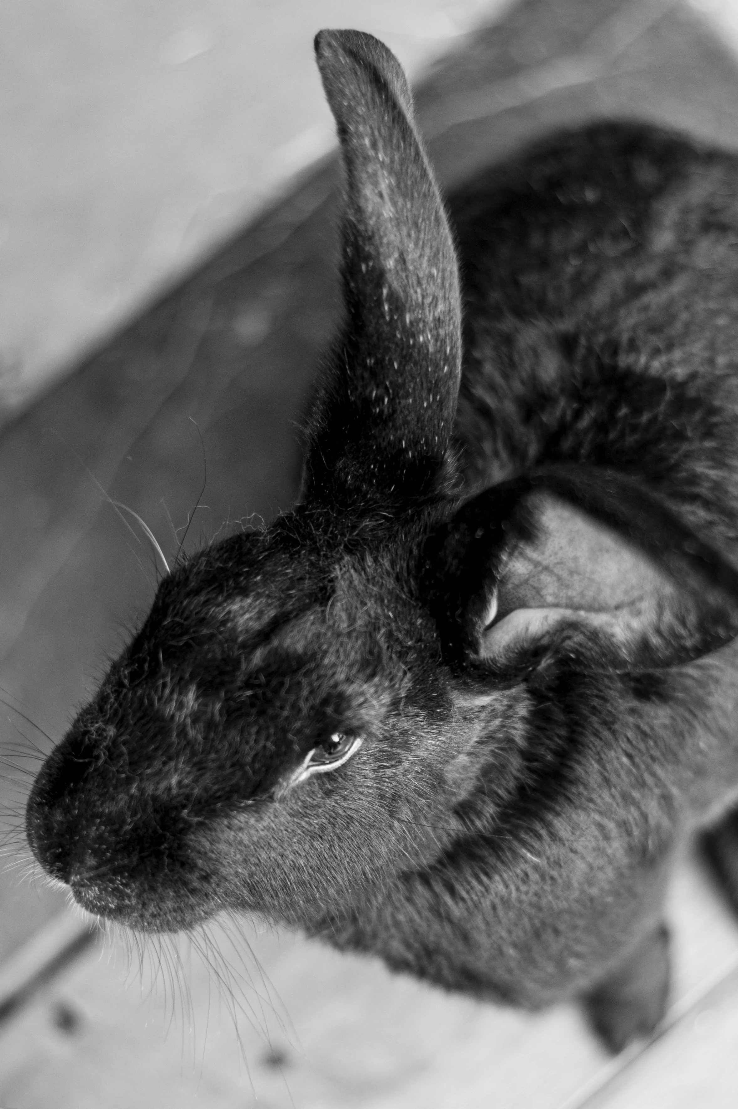 DSC_9876.jpeg