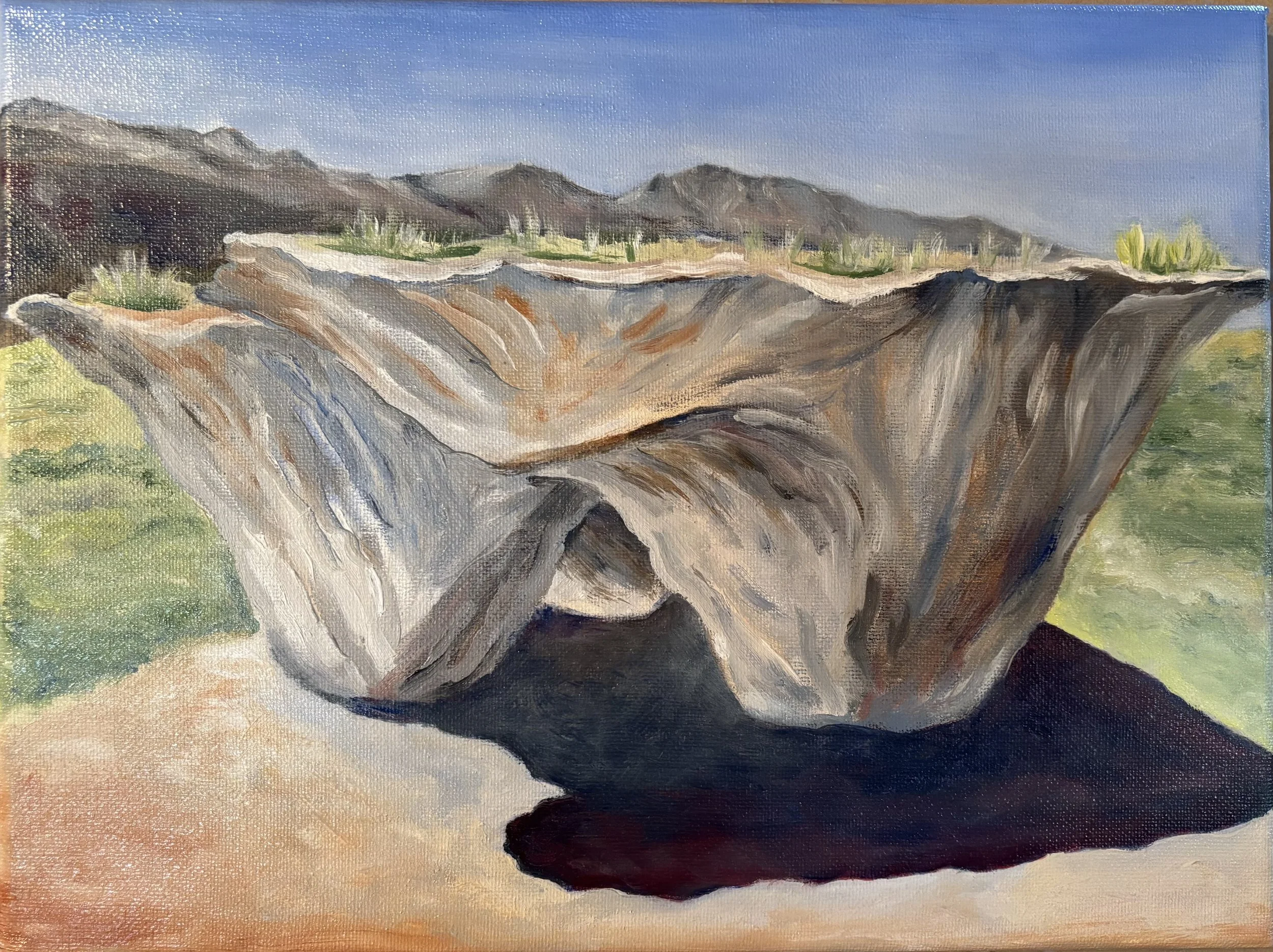 Domo, Tippet Rise, Plein Air - Oil 9" x 12"
