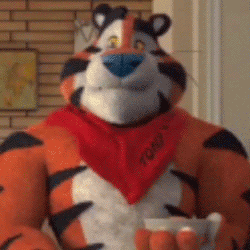 GIF_TONY.gif