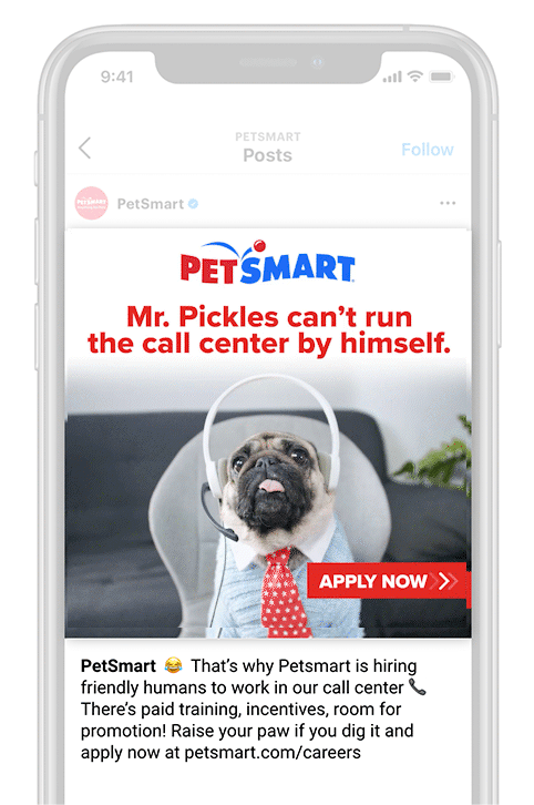 PETSMART_I_ALT_AdobeCreativeCloudExpress.gif