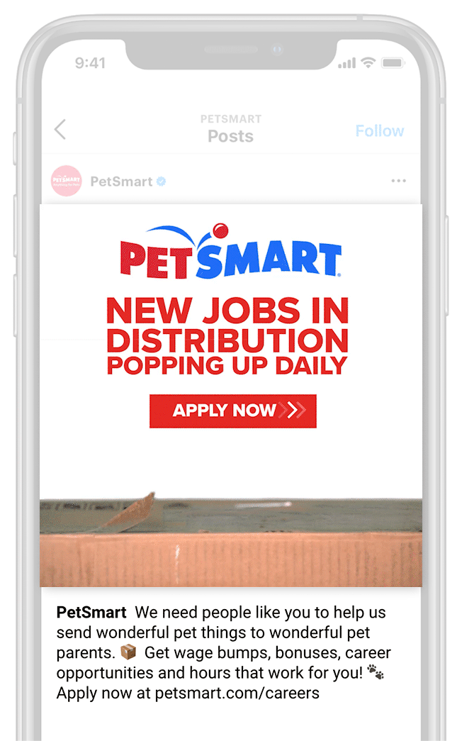 PETSMART_F_AdobeCreativeCloudExpress.gif