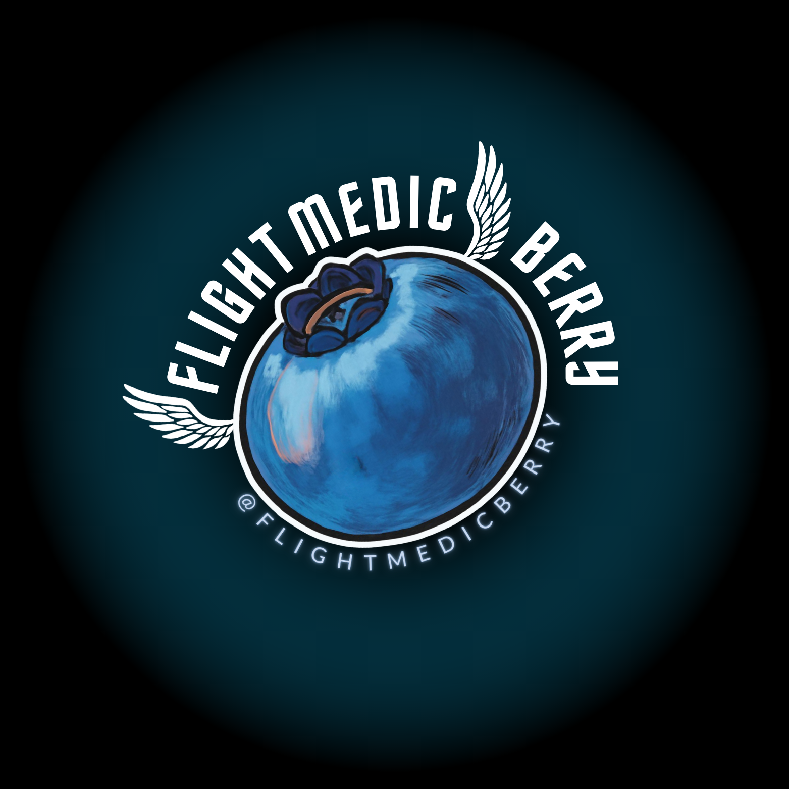 Flight Medic Berry  LOGO (3).png