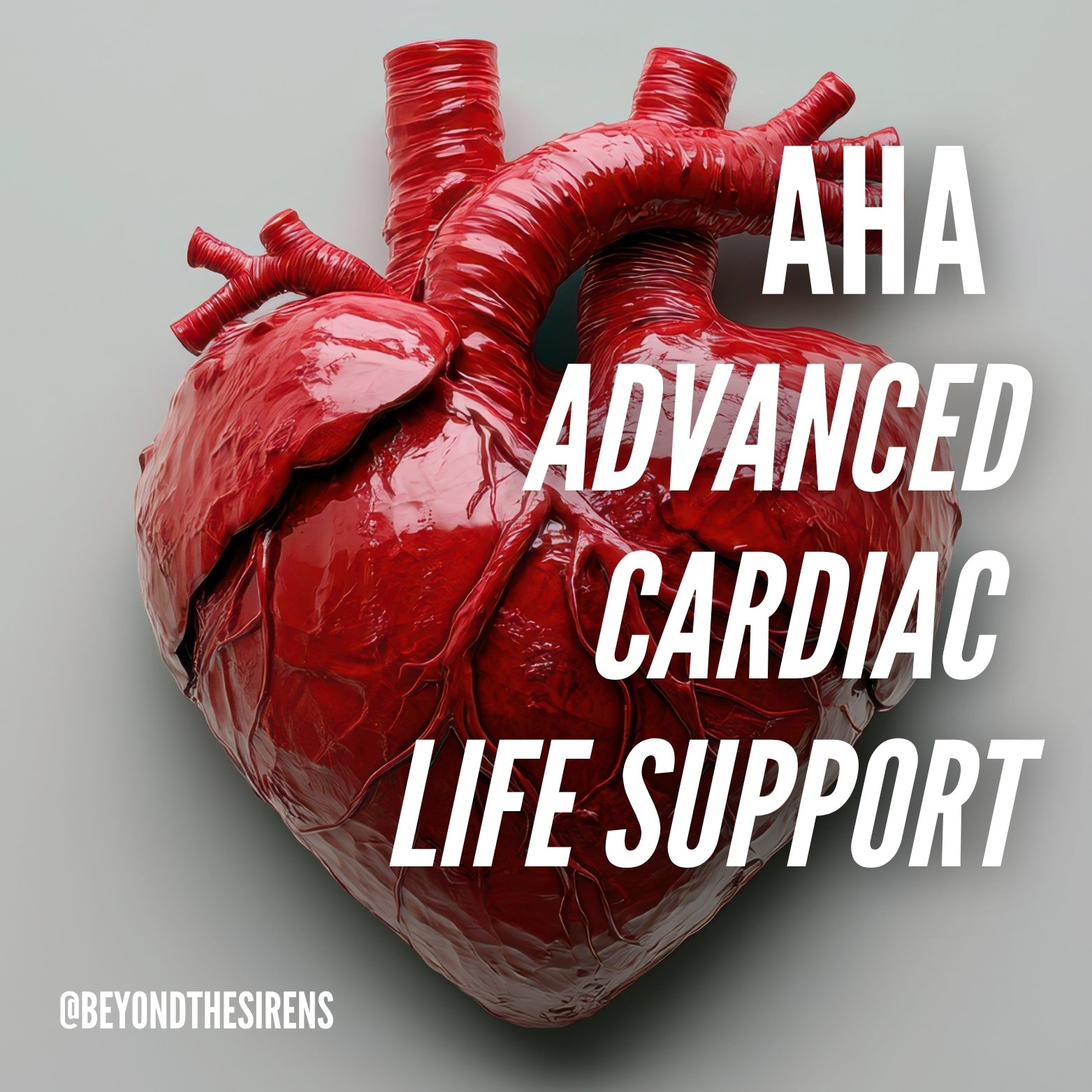 BTS  Course Store Images (2).jpg