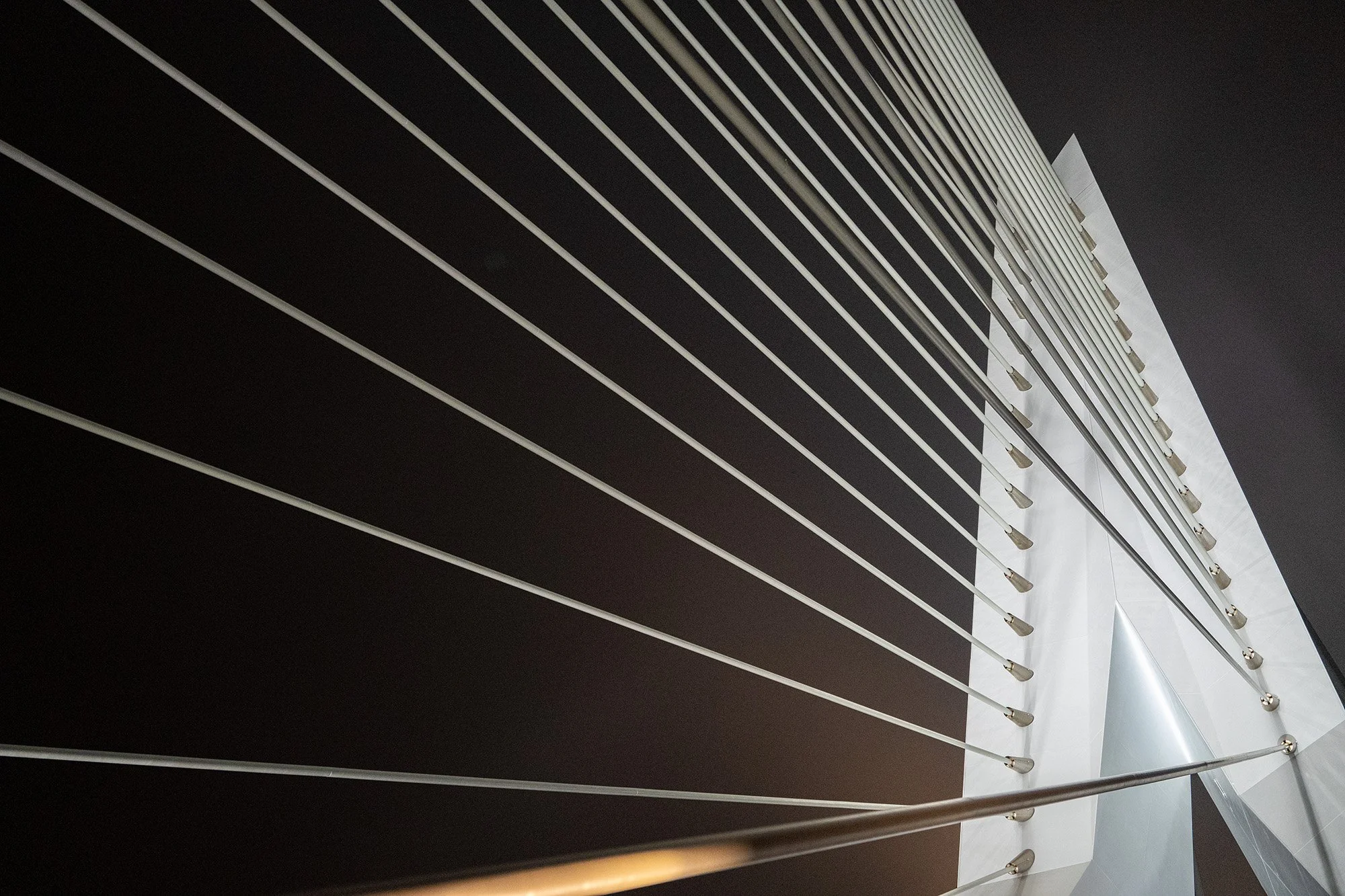 Erasmusbrug, Netherlands