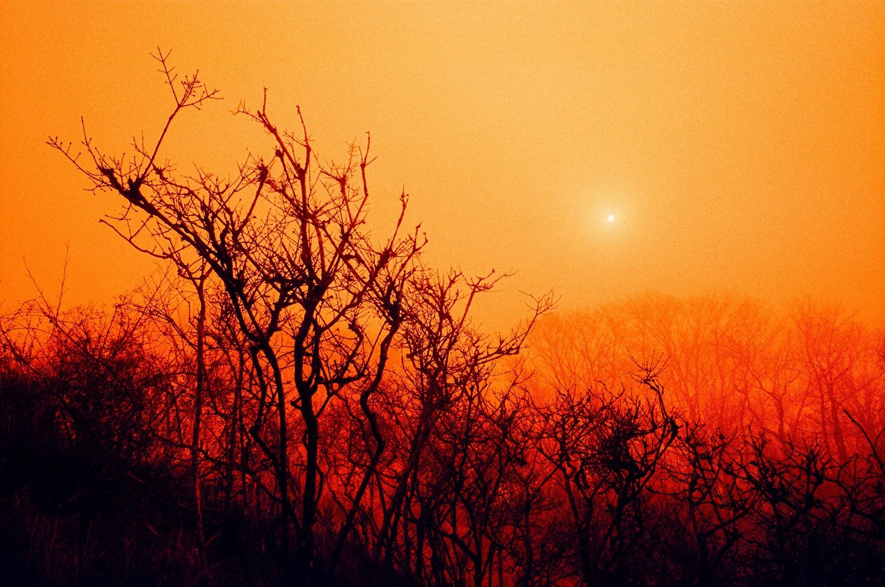 000026790032 INSTA.jpg