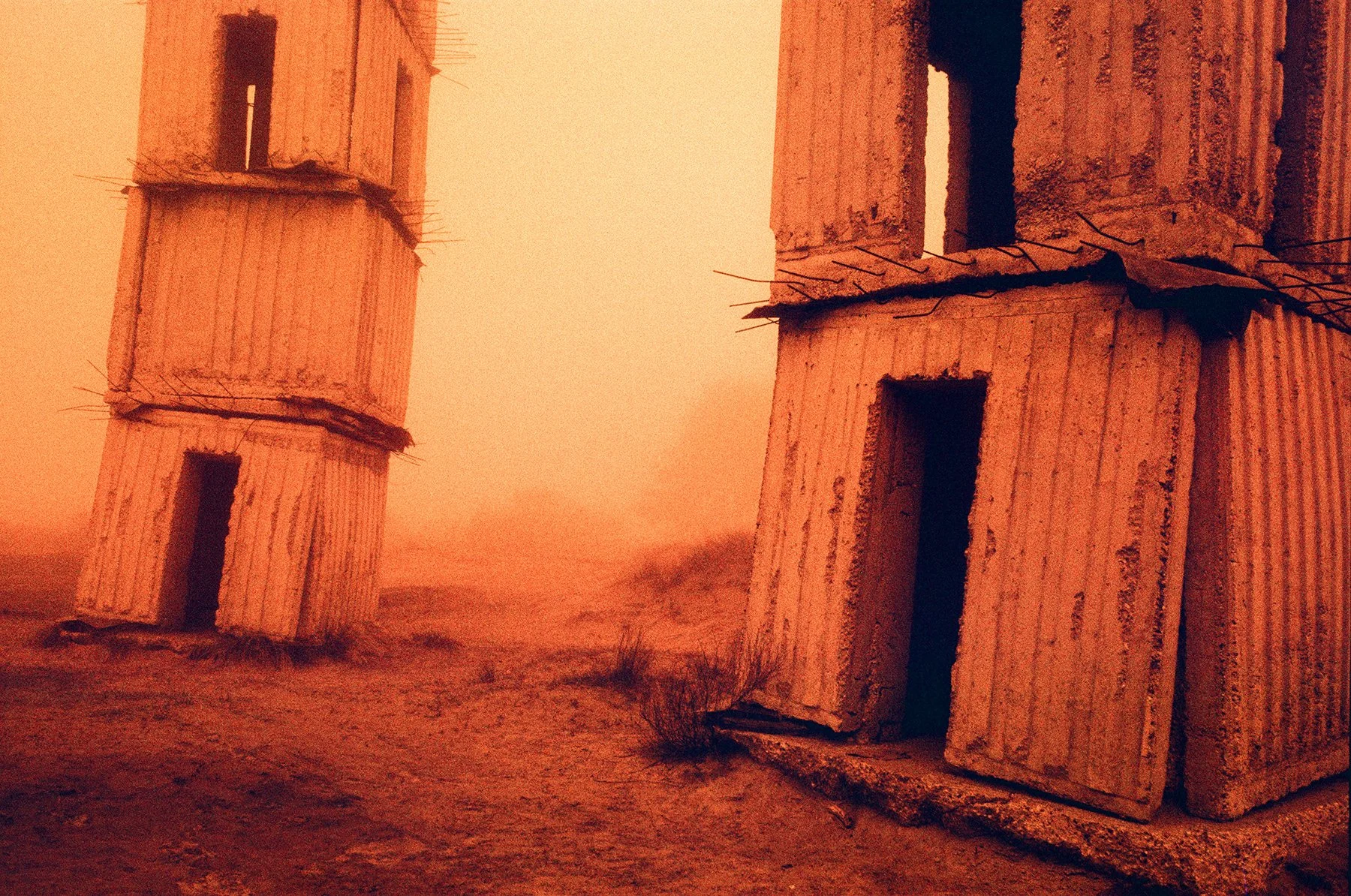 000026790012 INSTA.jpg