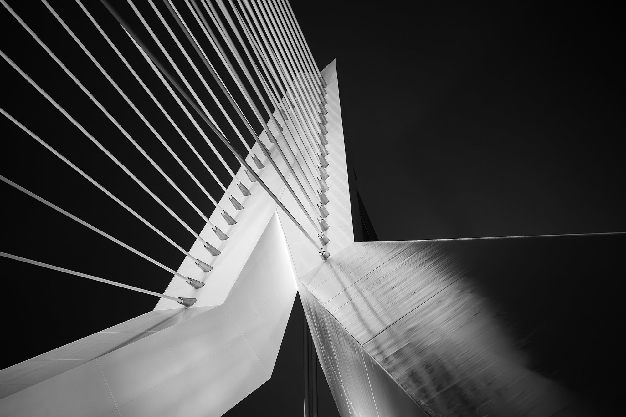 Erasmusbrug, Netherlands