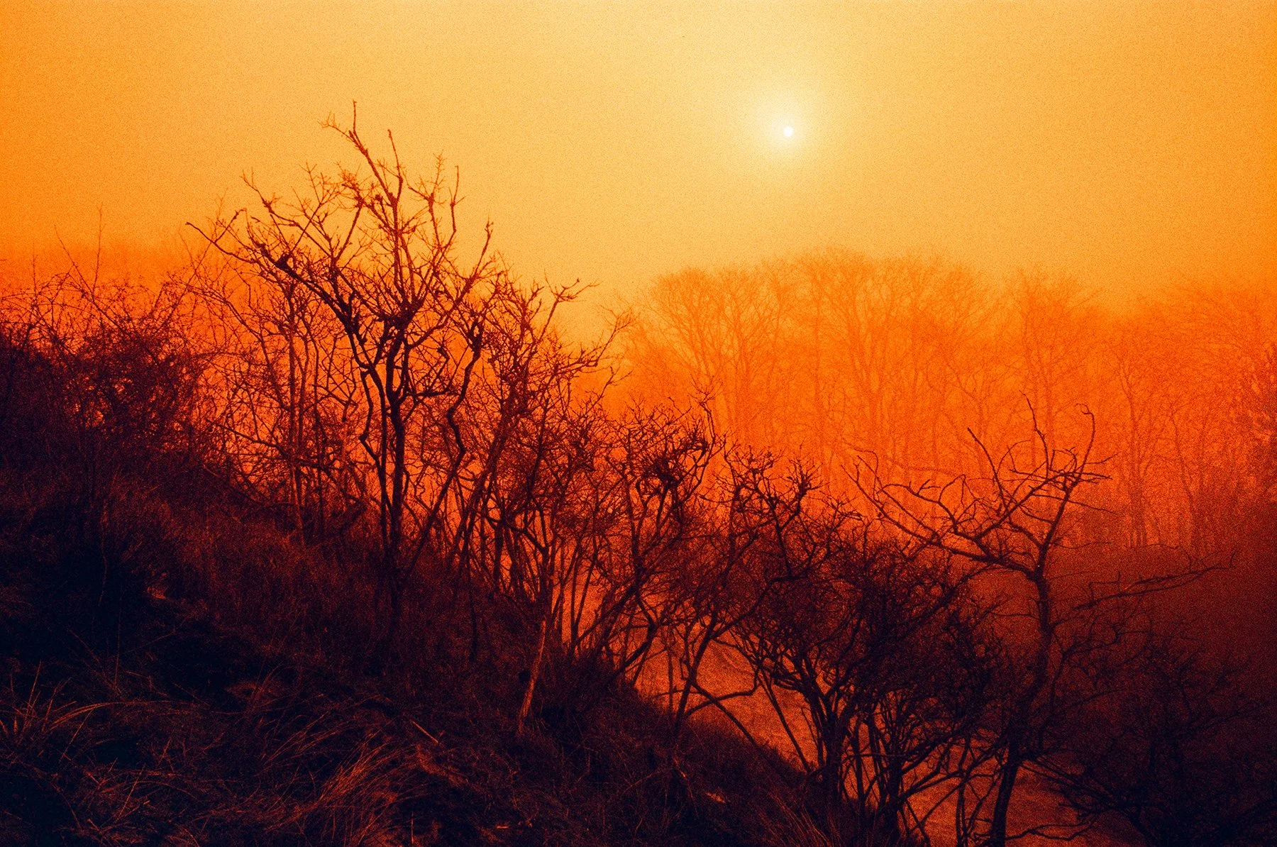 000026790026 INSTA.jpg