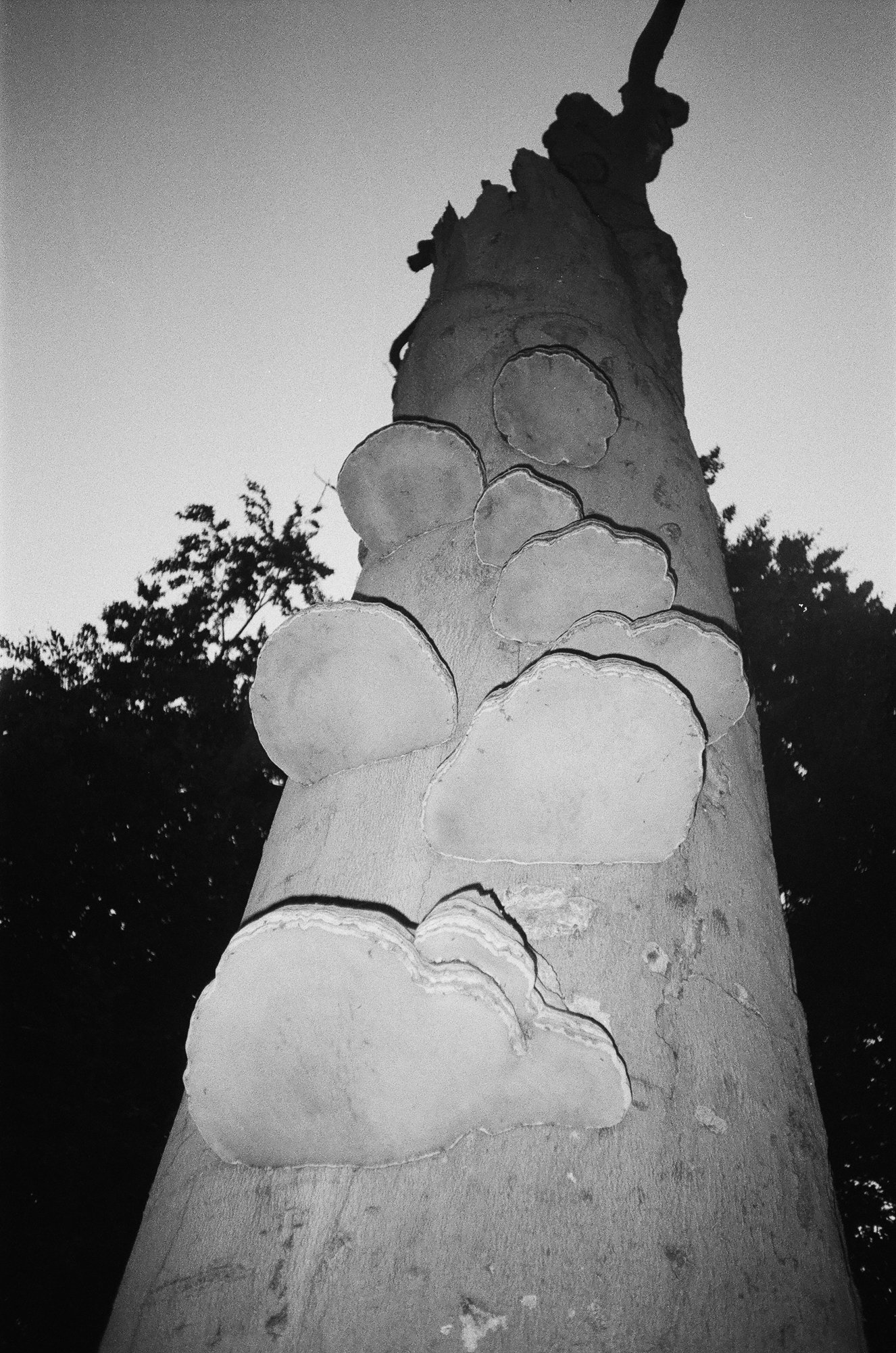 HDP Film-5.jpg