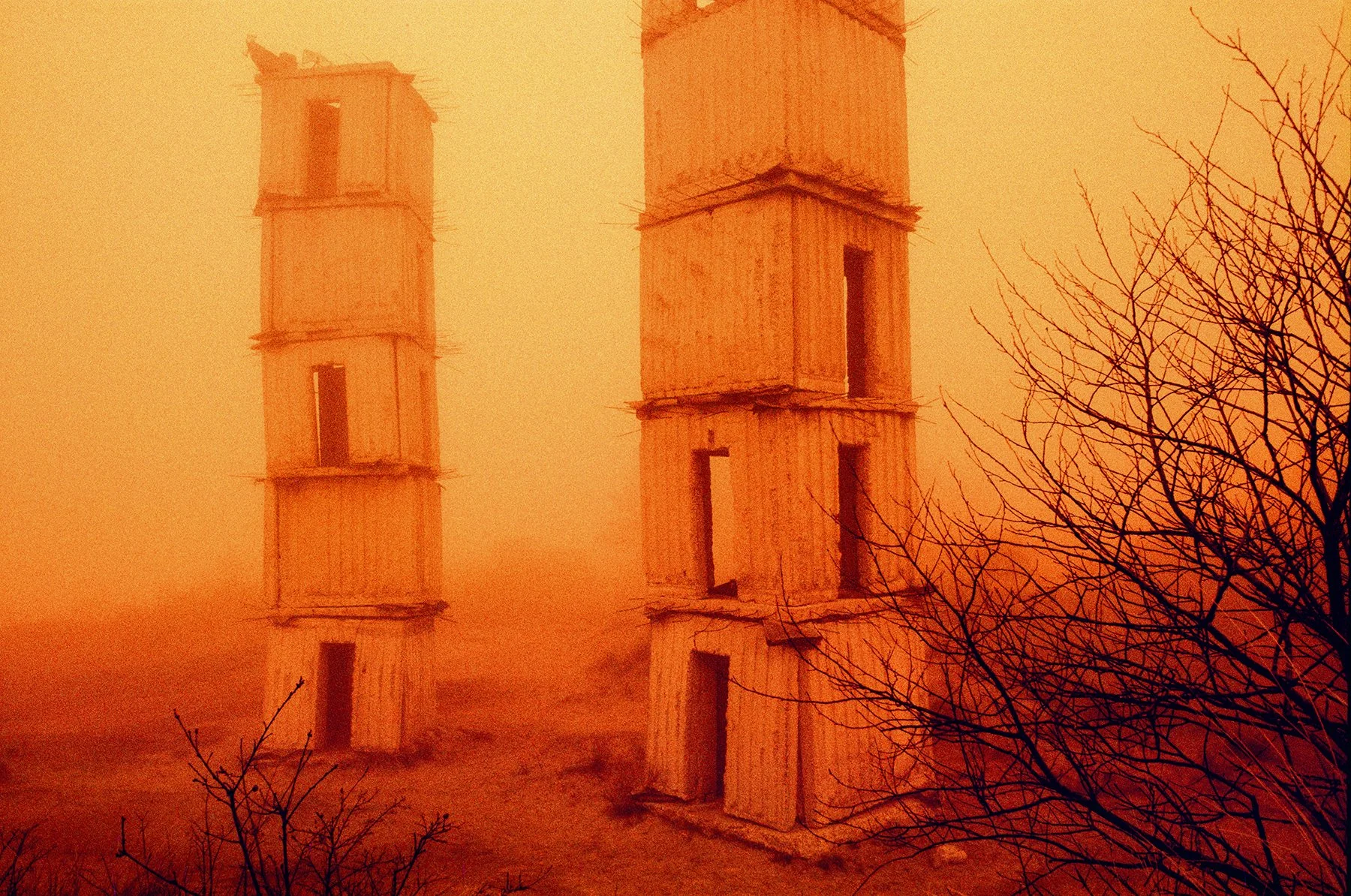 000026790017 INSTA.jpg