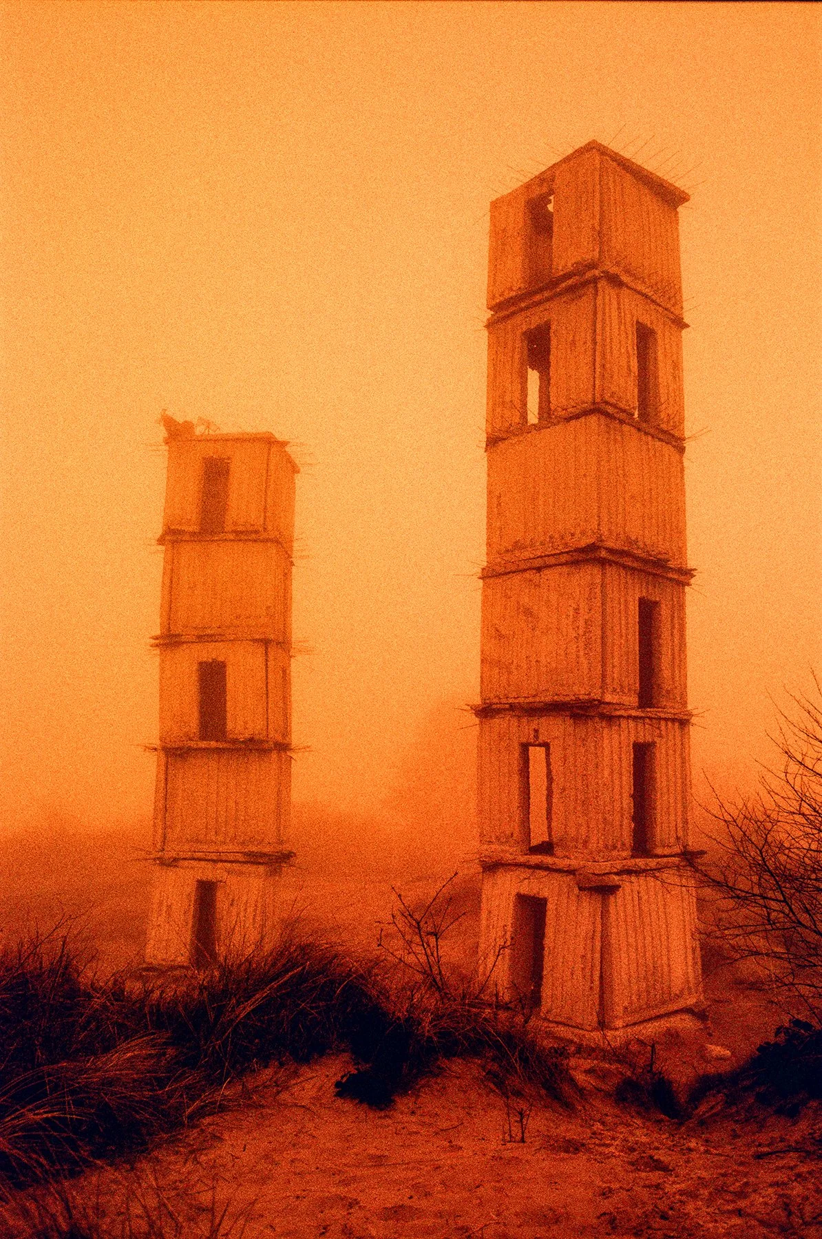 000026790022 INSTA.jpg