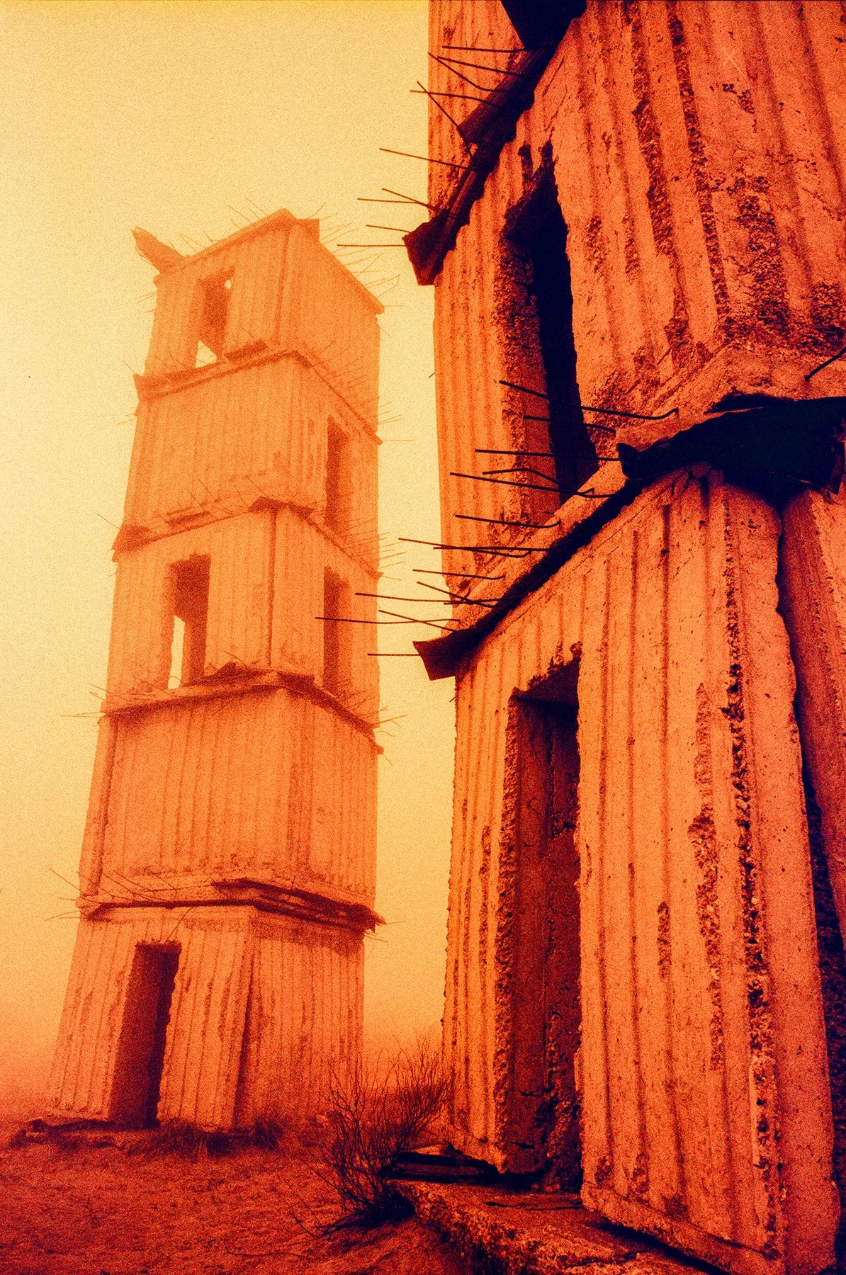 000026790007 INSTA.jpg