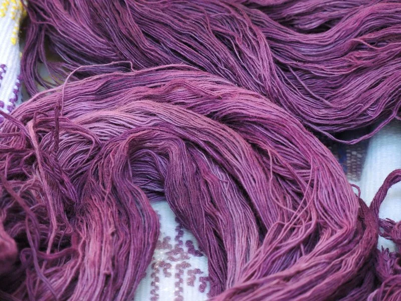 Power of Purple: Murex Dye in Mesopotamia