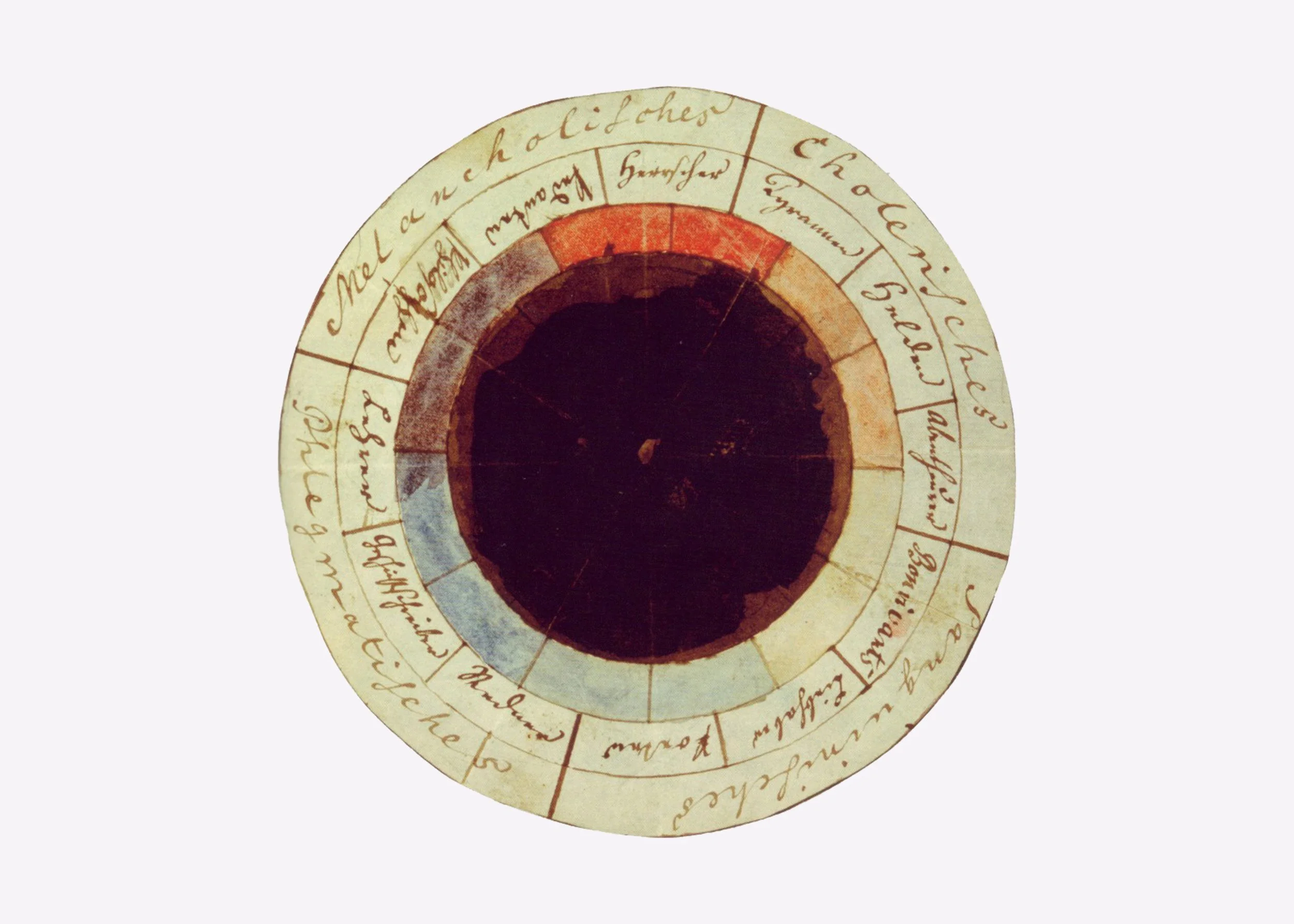 The Colour of the Living World: Colour, Nature and Wellbeing