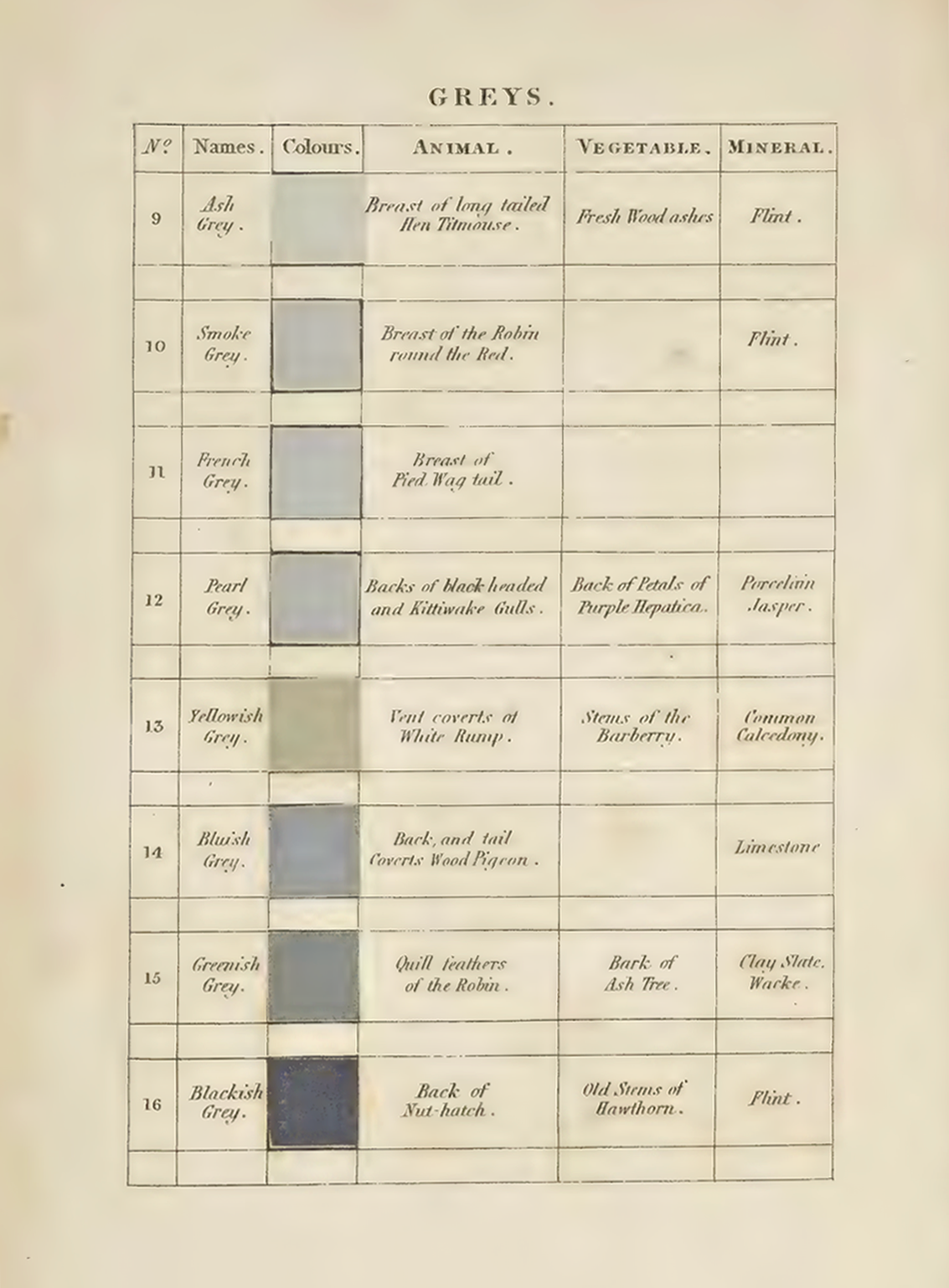 The Colour of the Living World: Colour, Nature and Wellbeing