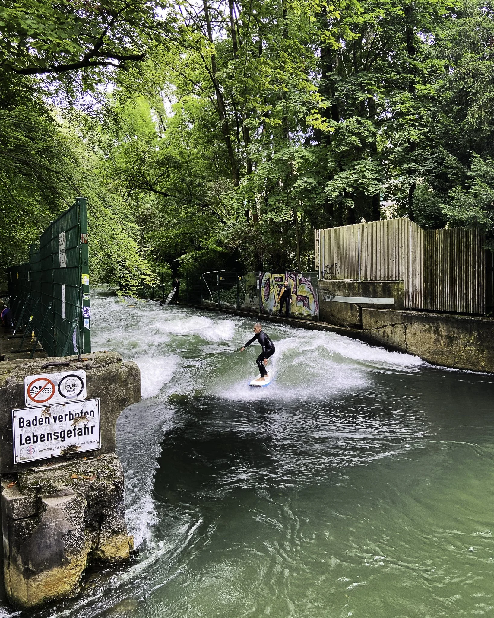 A person in a black wetsuit surfing in a narrow canal with green water, surrounded by lush green trees and graffiti-covered walls, with signs in German indicating dangerous water and no swimming.