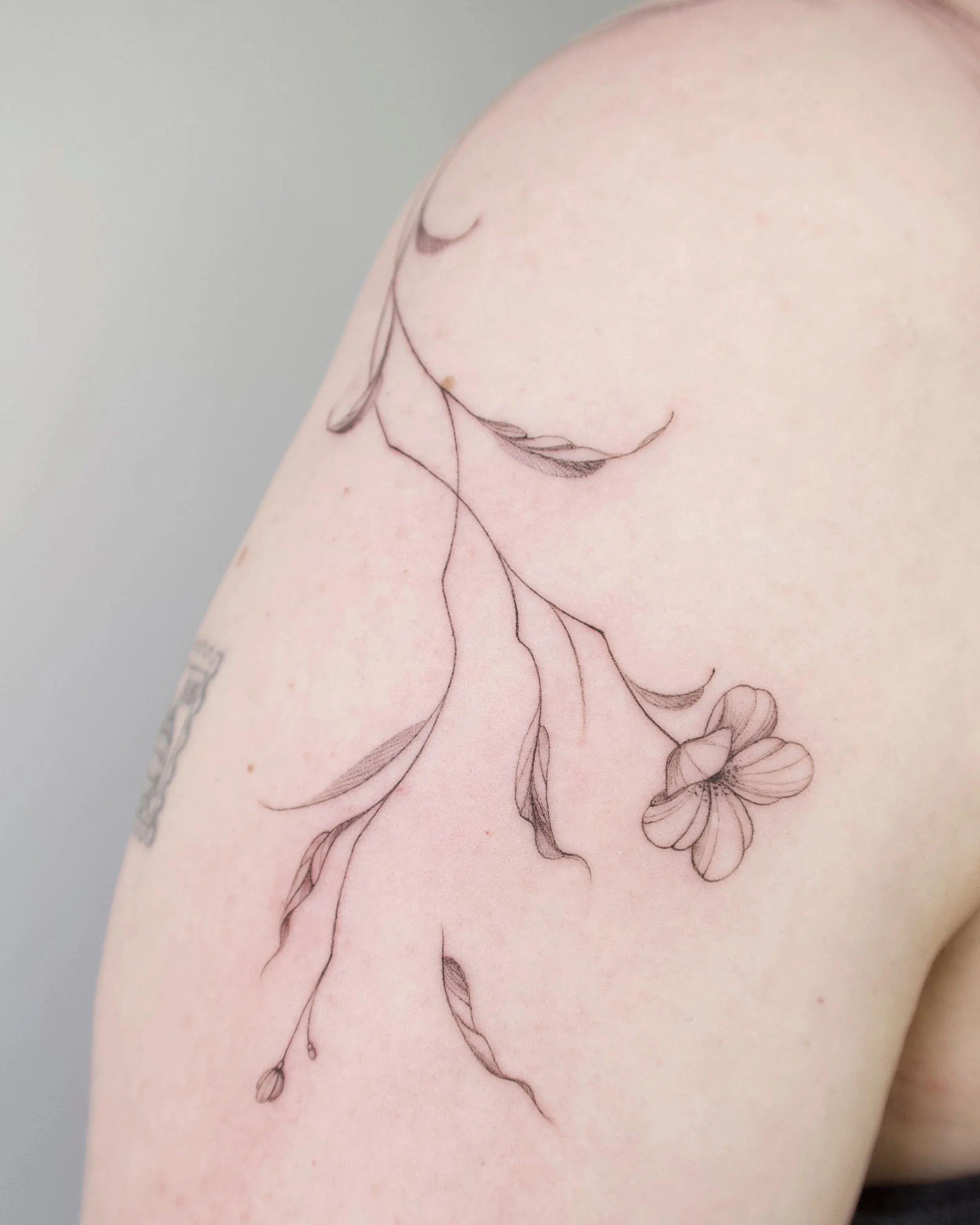 fineline tak met bloemen rondom schouder bloesem