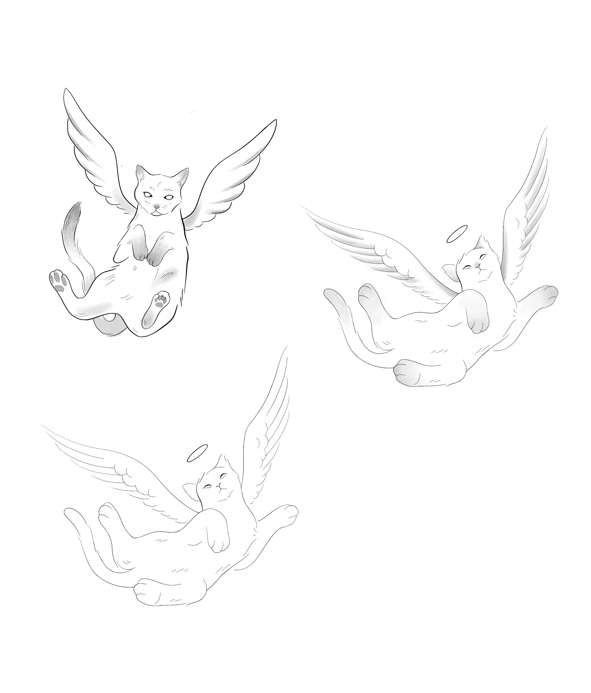 Untitled_Artwork 14.jpg