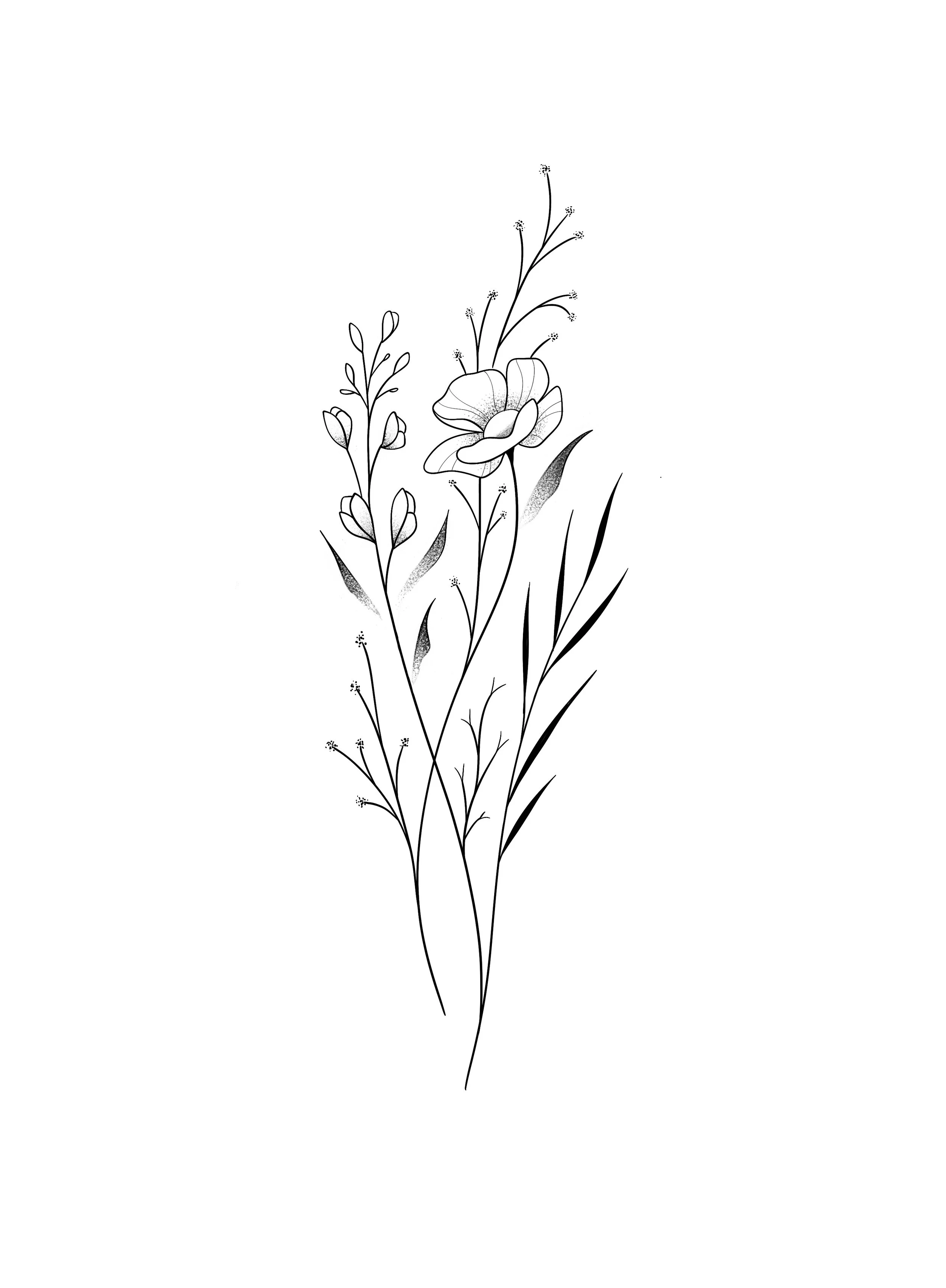 Untitled_Artwork 34.jpg