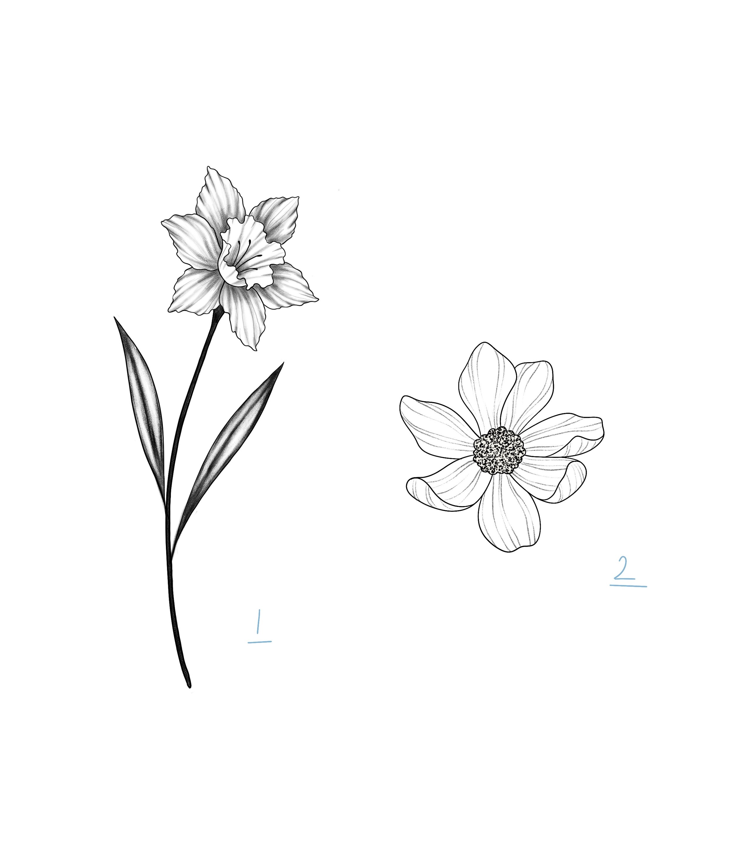 Untitled_Artwork 28.jpg