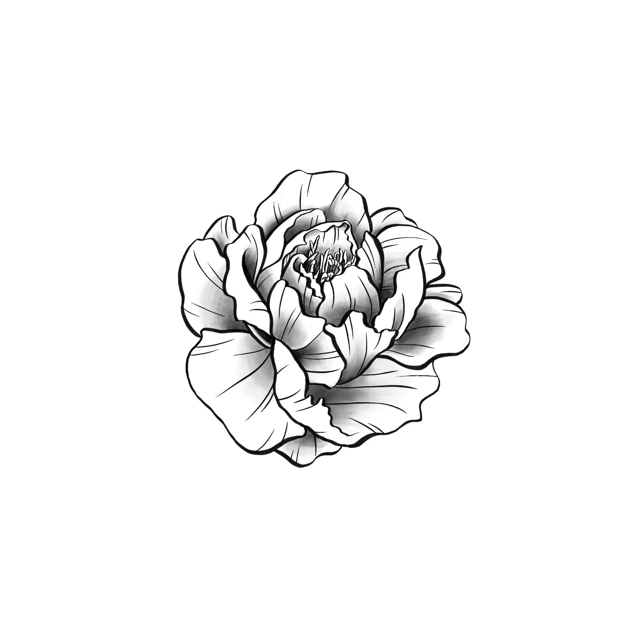 Untitled_Artwork 2.JPG