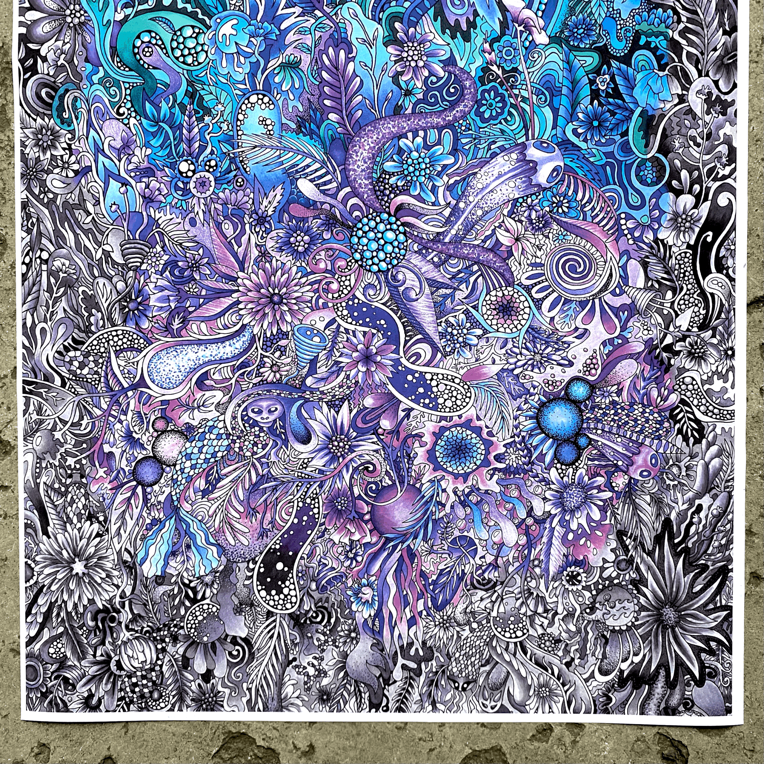 tempImage6doe7C.gif