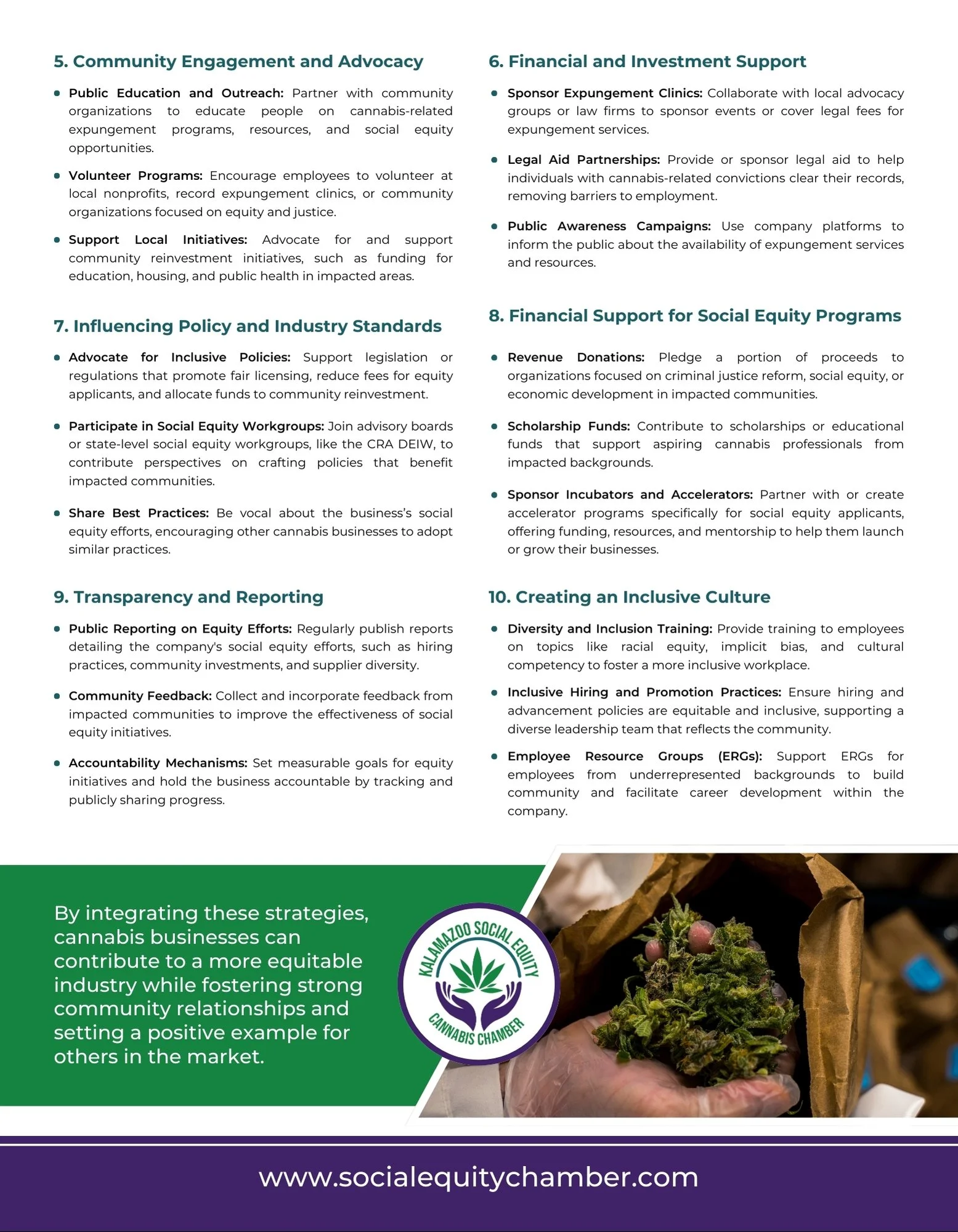 Equity Examples — Kalamazoo Social Equity Chamber