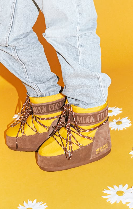 Screenshot 2026-01-14 120853.png