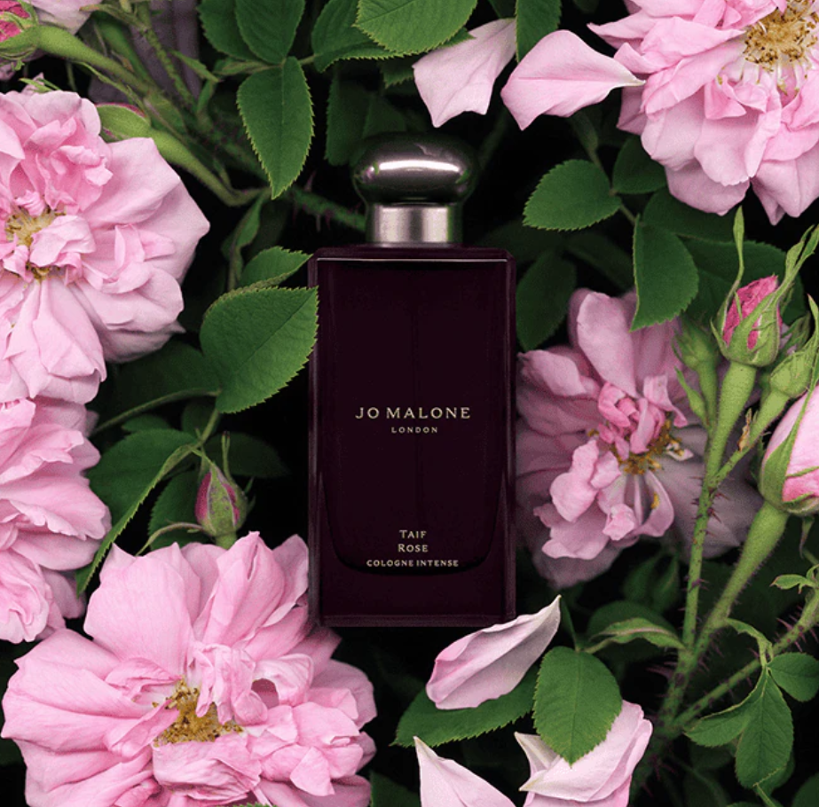 Screenshot 2026-01-30 093527.png