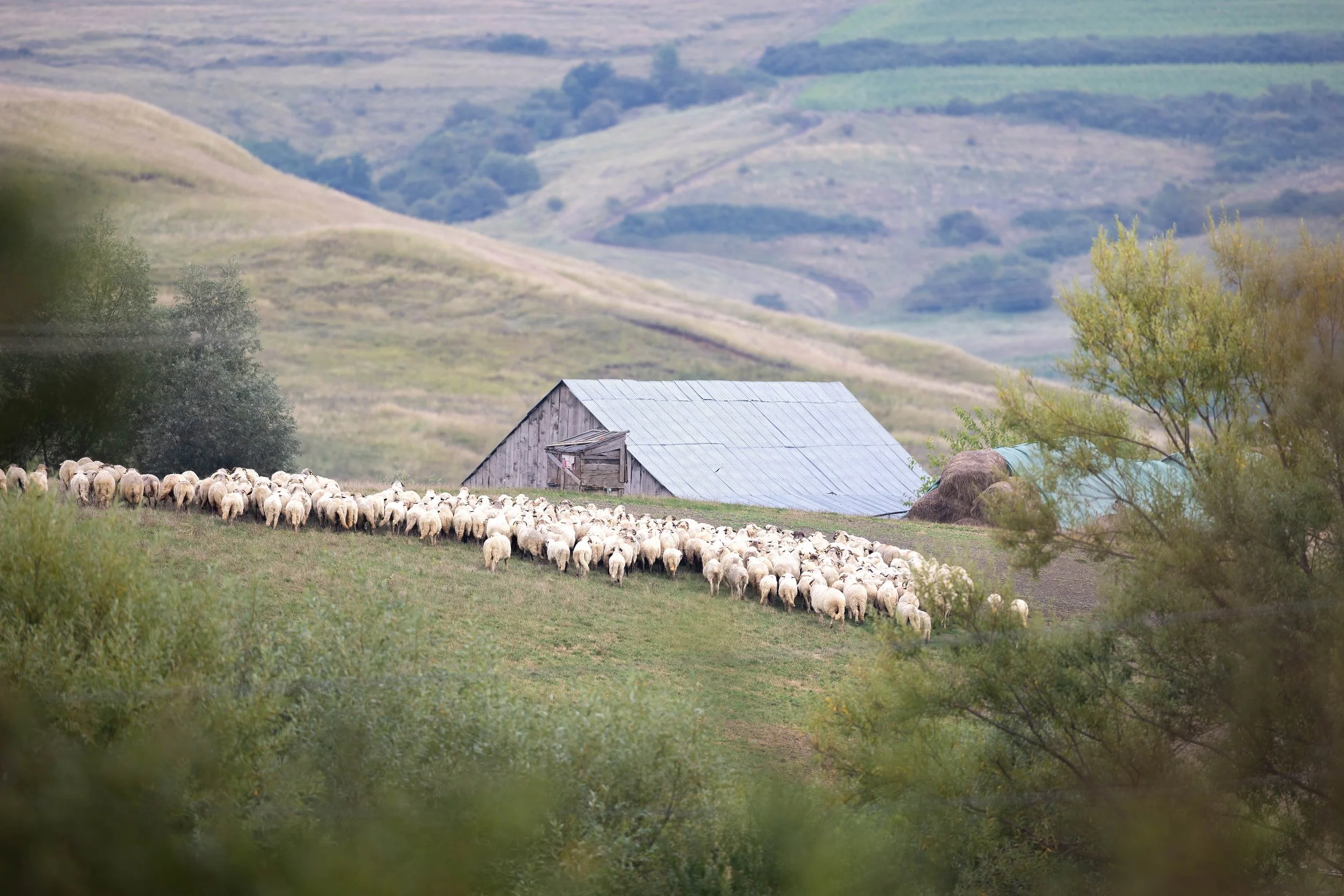 Collaboration &amp; data gives land investor a climate edge