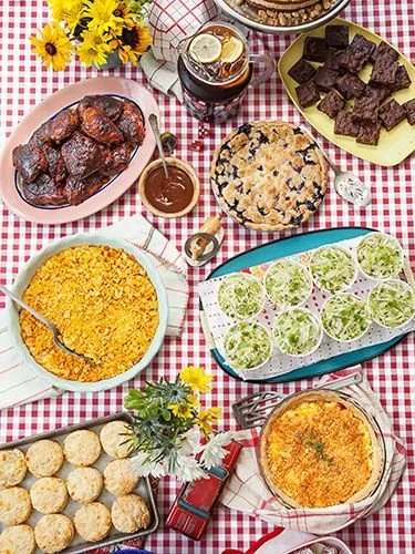 Family Summer Picnic