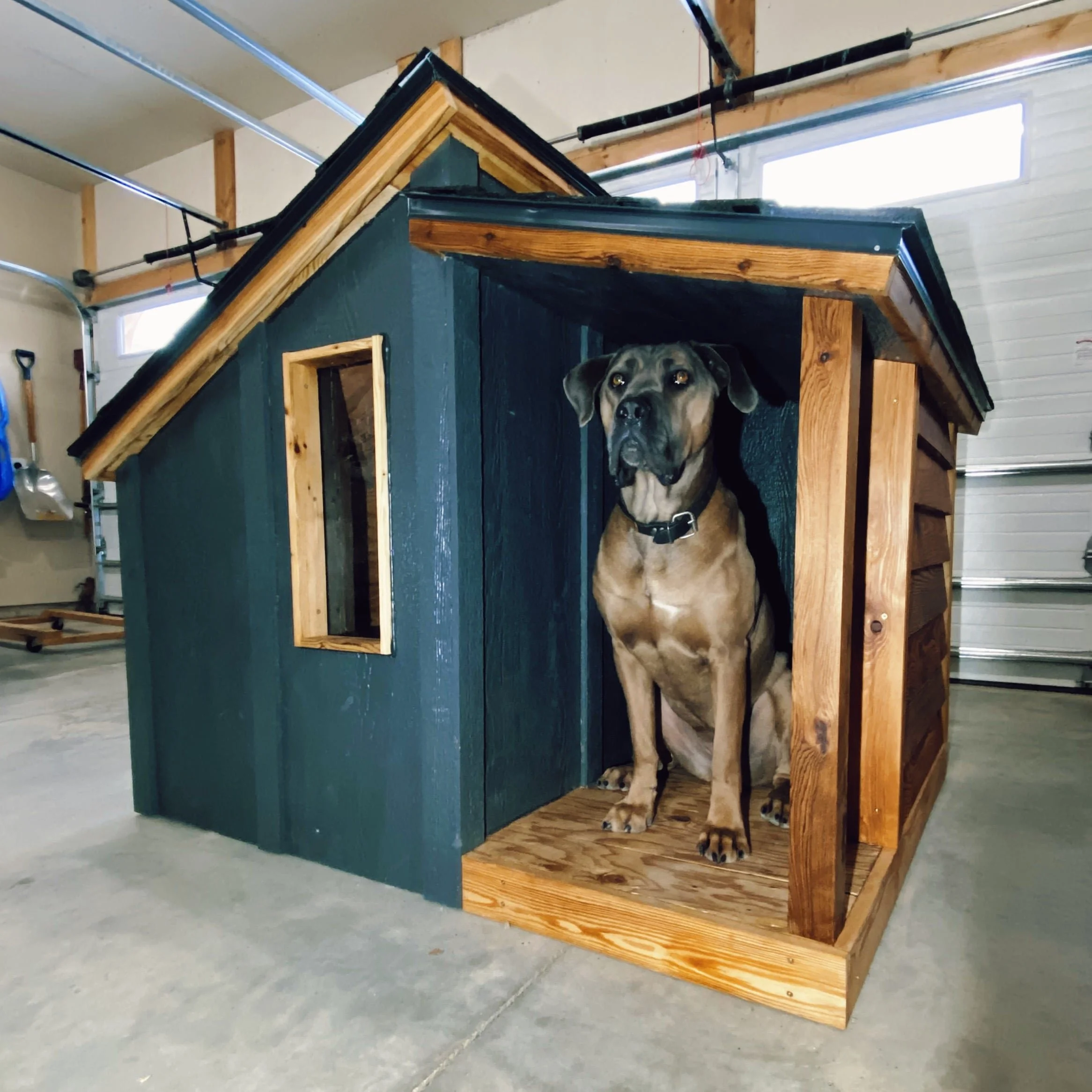 Hot simple dog house blueprints Hotsell