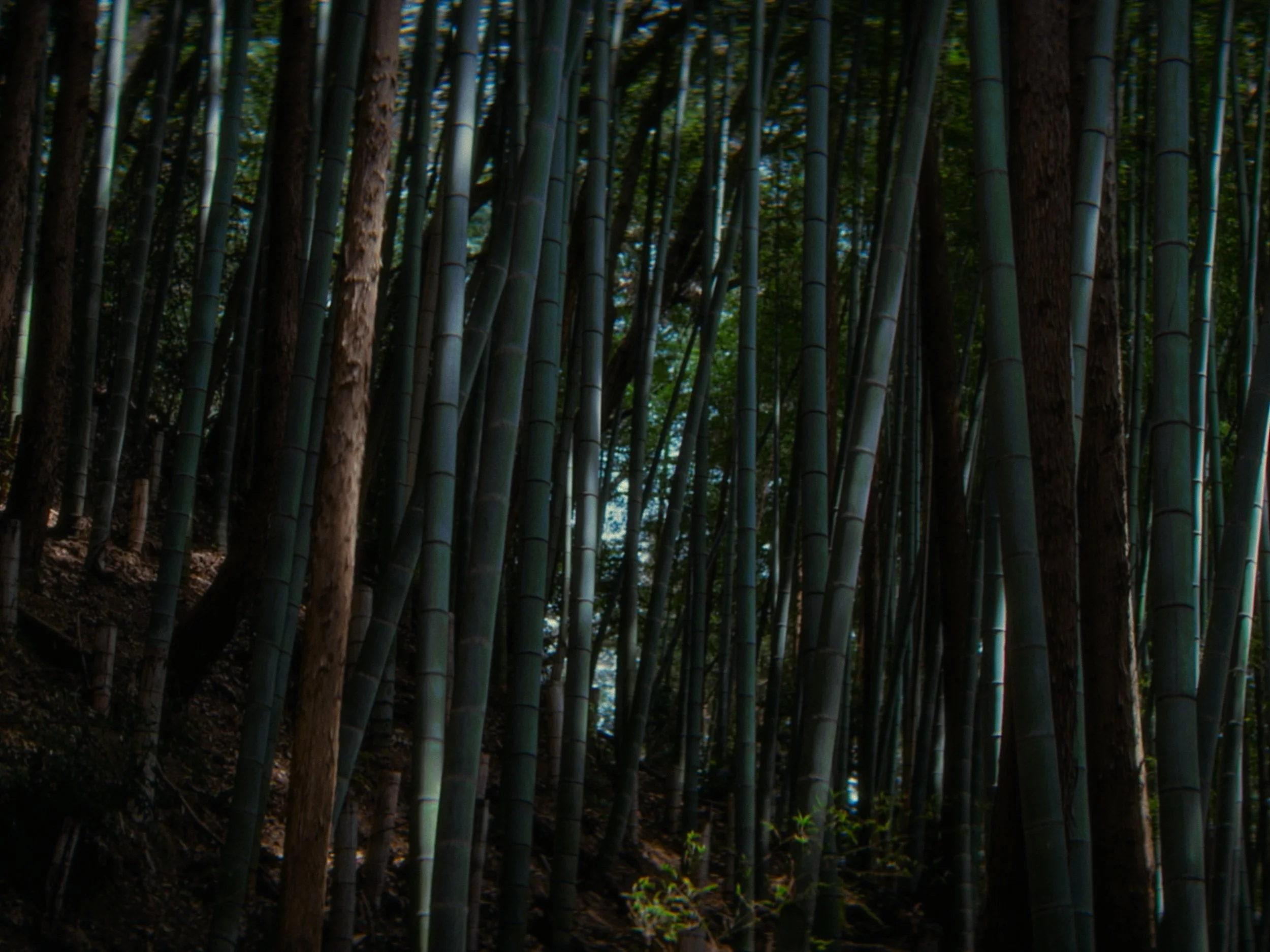 Ghost of you_1.17.1.jpg