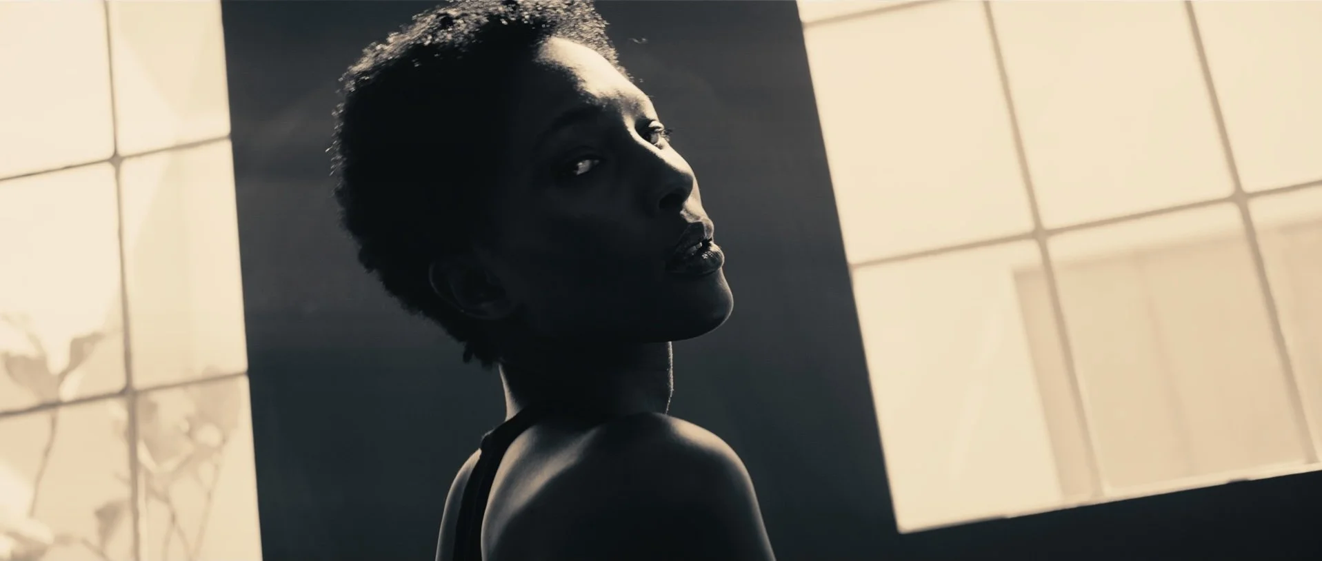 PRIMORDIUM ALBENS_1.20.2 copy.jpg