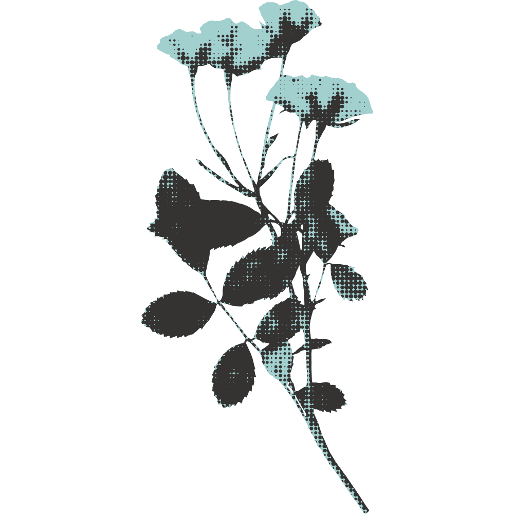 Stylized illustration of a single rose with leaves, created using a halftone dot pattern in dark blue and black, against a transparent background.