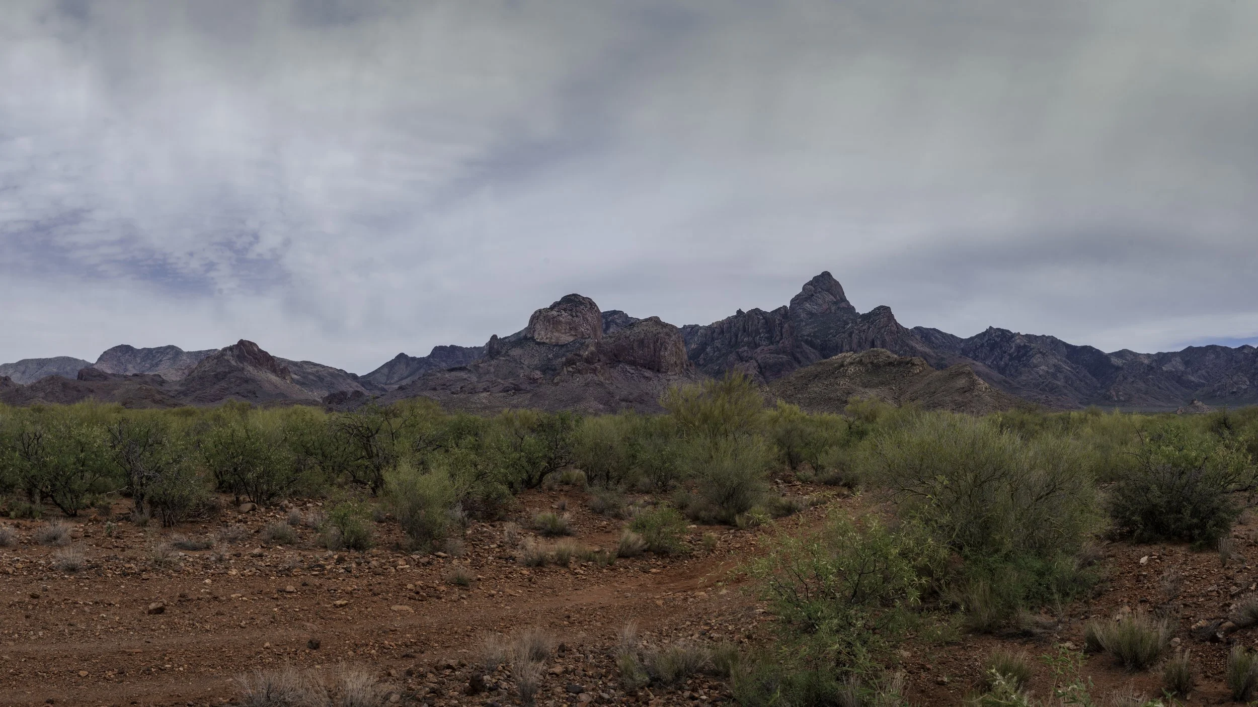 Track to Baboquivari