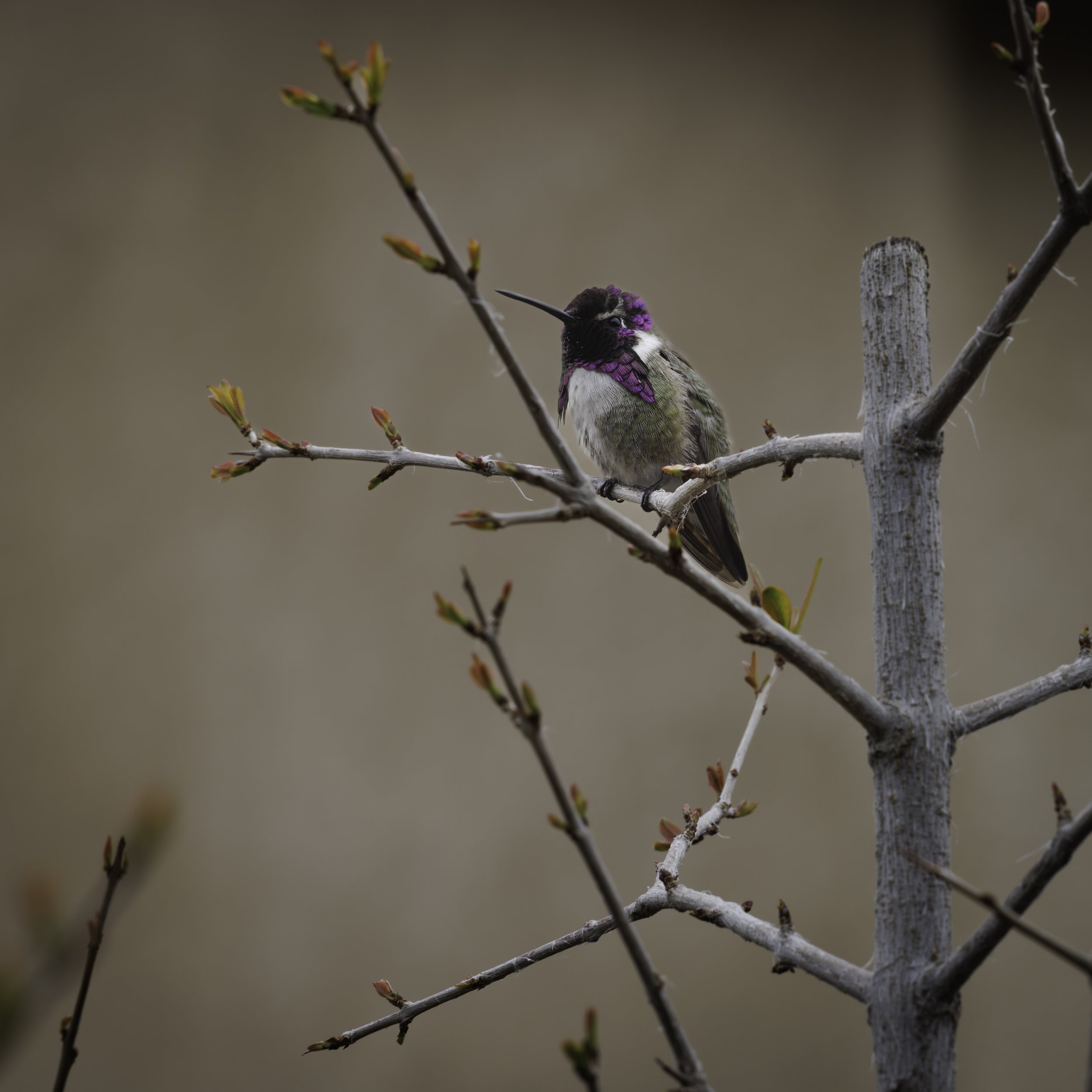 Just Noodlin’ Around