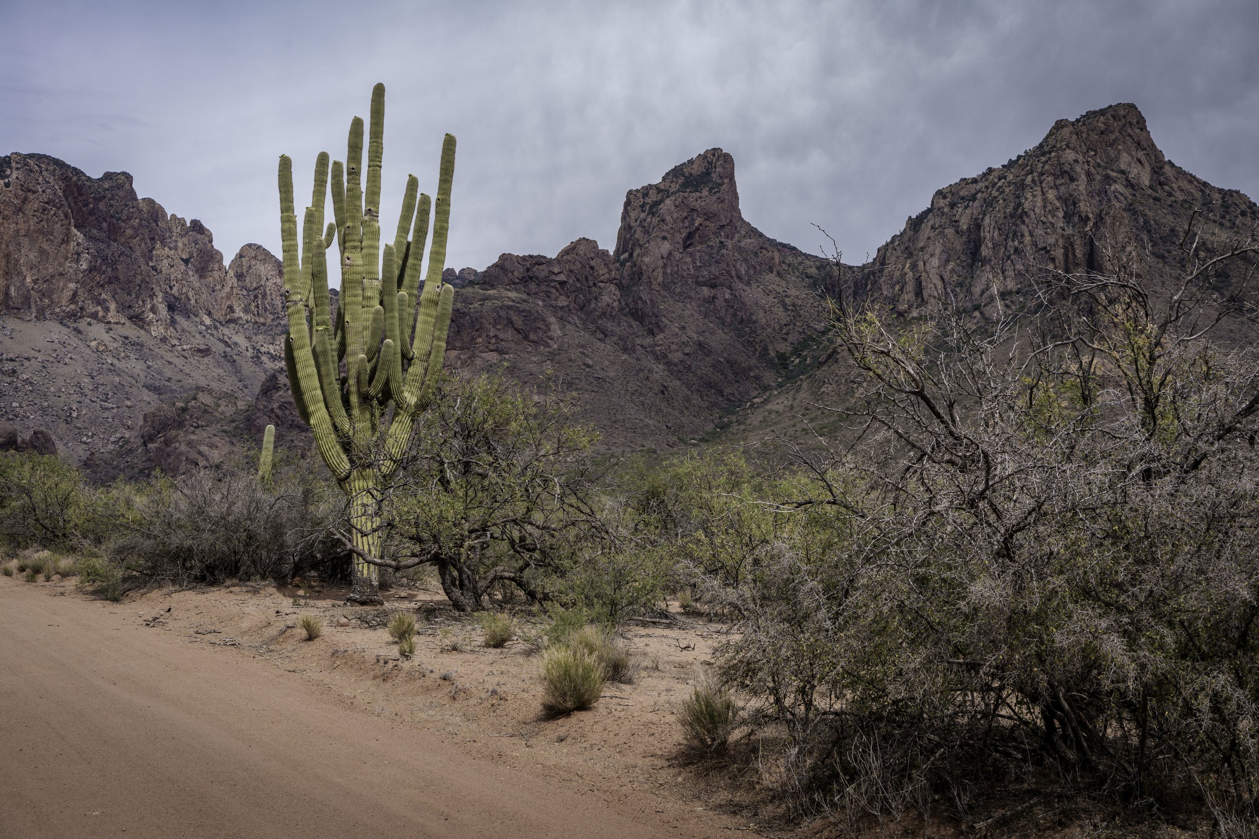 Gateway to the Canyon