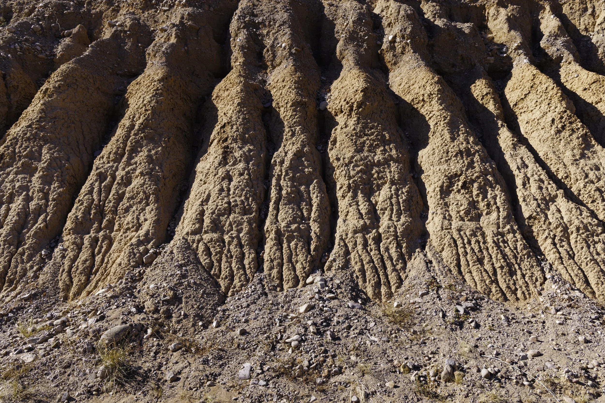 At the Feet of Giants