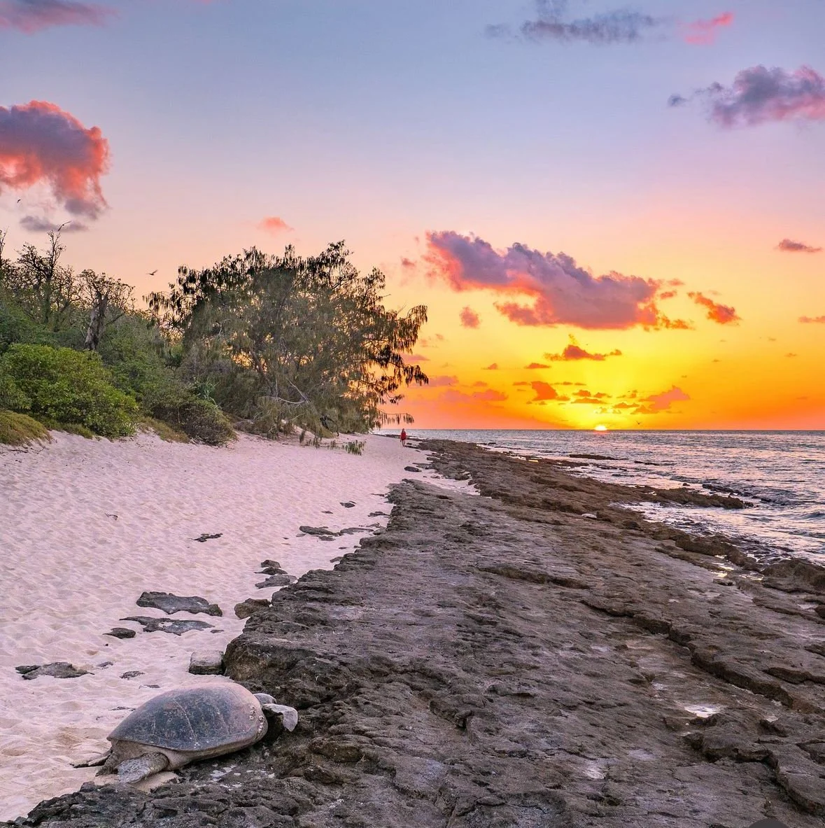 How to Ease the Transition of Moving to a New City