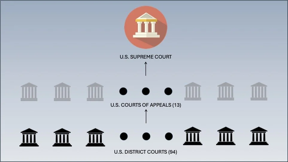 Federal Court System Hierarchy
