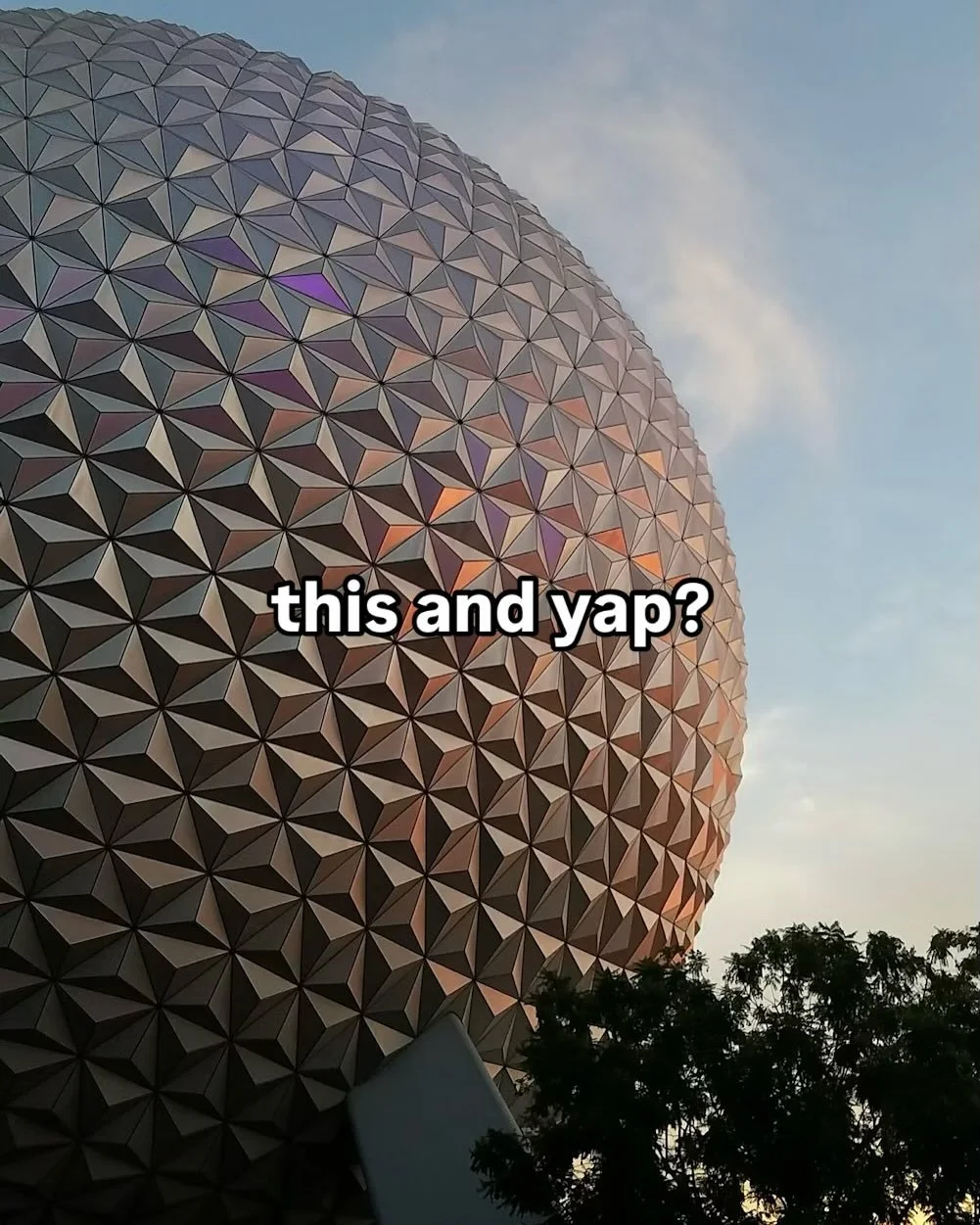 Get in the car, we&rsquo;re going to yap at Disney World.

&mdash;

I am a travel planner that specializes in Disney destinations! My services are complimentary - meaning that I typically do not charge my clients anything when they book through me. 
