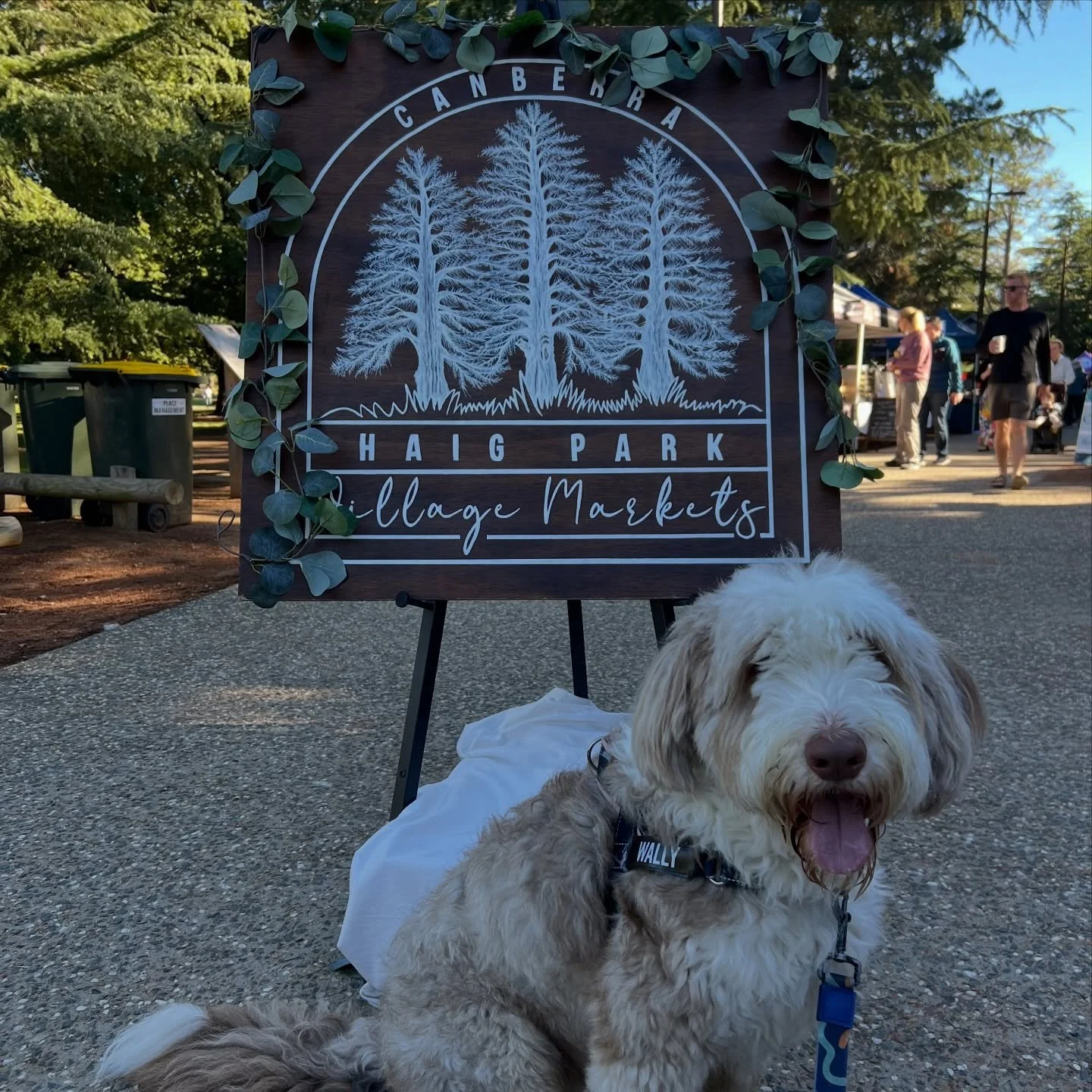 We&rsquo;re excited for this weekend&rsquo;s Easter market at Haig Park. Come down and say hello! We&rsquo;ll have Oceanelier&rsquo;s usual stock and some fresh new designs of cards, prints, stickers and tea towels! 

Wally won&rsquo;t be there unfor