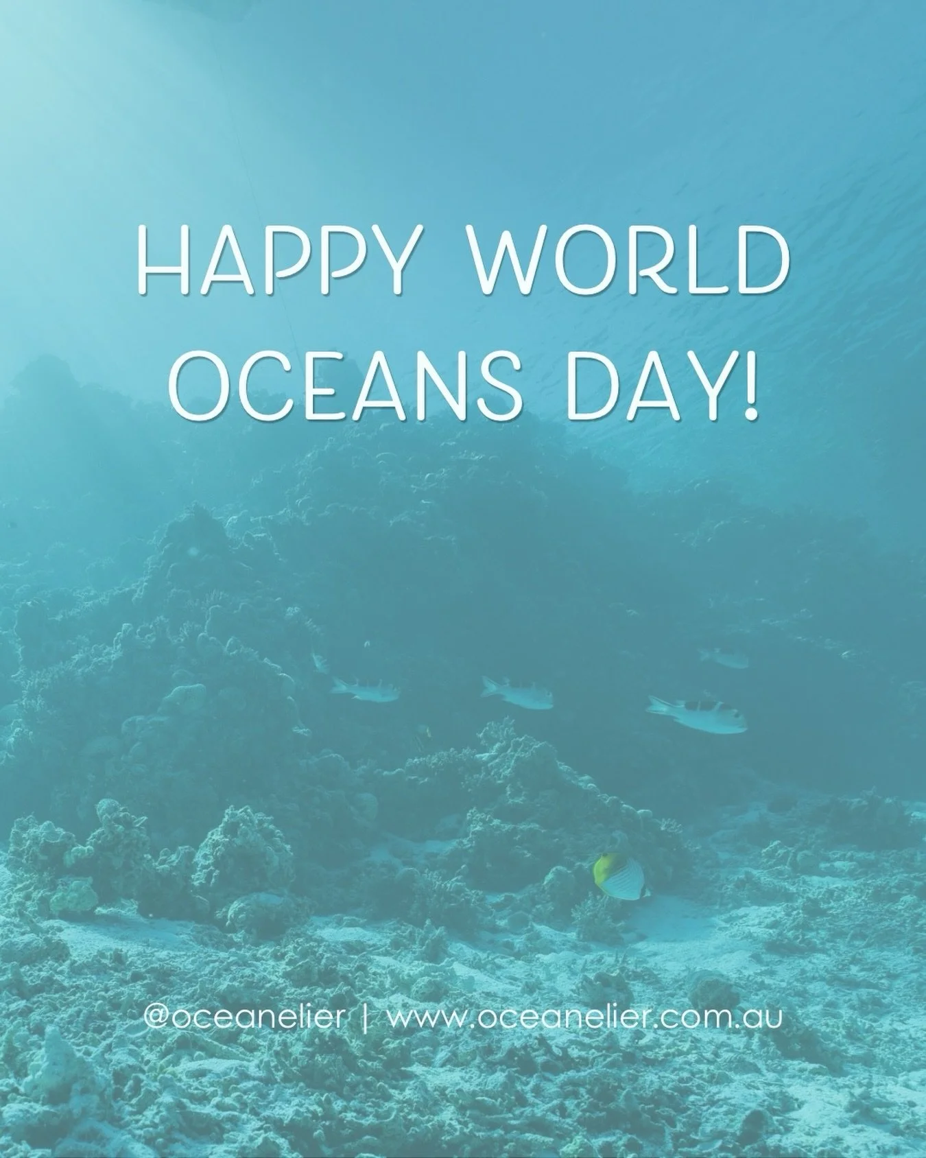 I find that people are more inclined to look after things that hold significance, importance and value to them. Our deep blue ocean is the single most valuable part of our earth and it sustains life. And, I&rsquo;ve never met a person who doesn&rsquo
