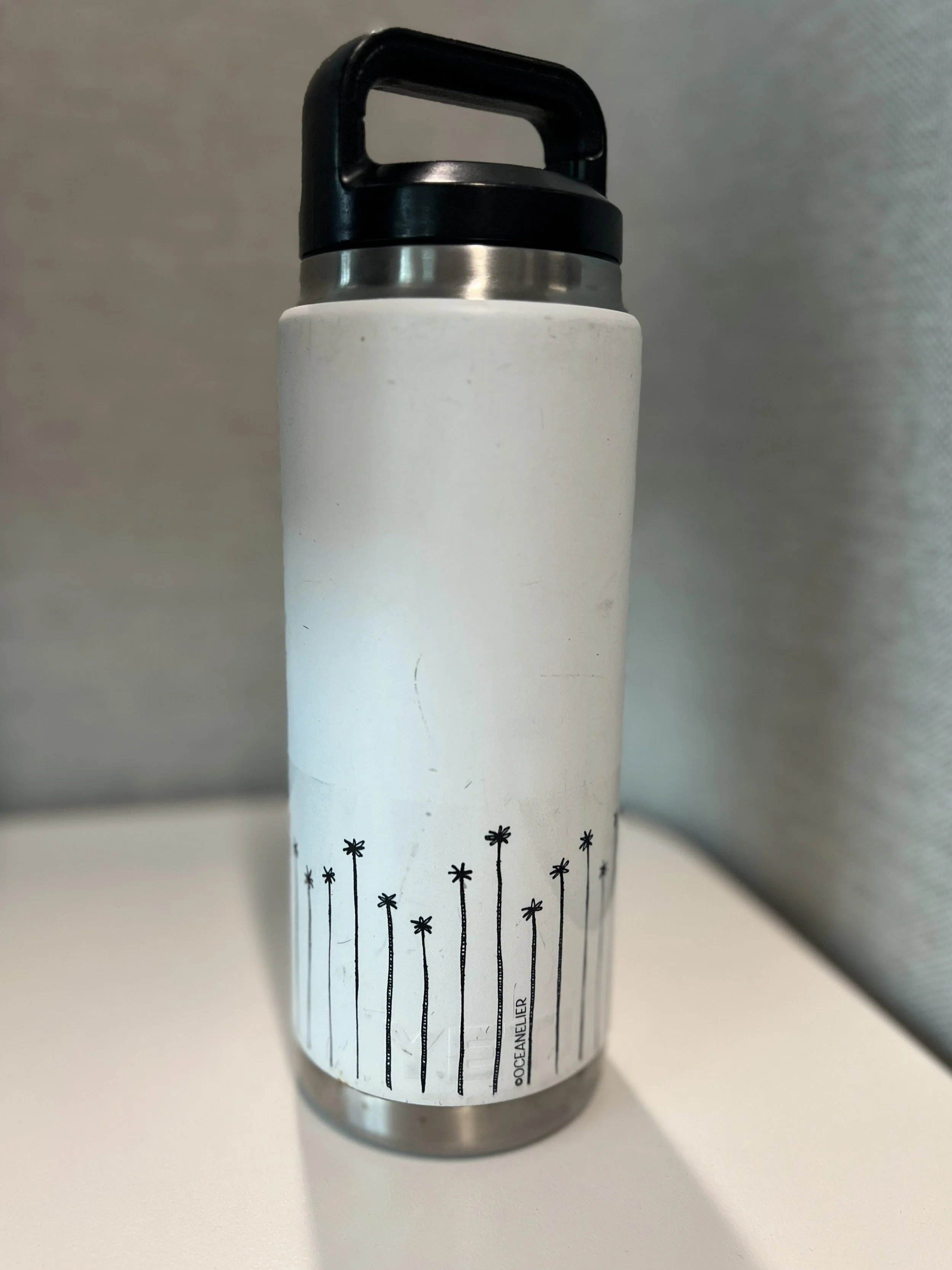 Perfect Palms Vinyl Wrap - Black