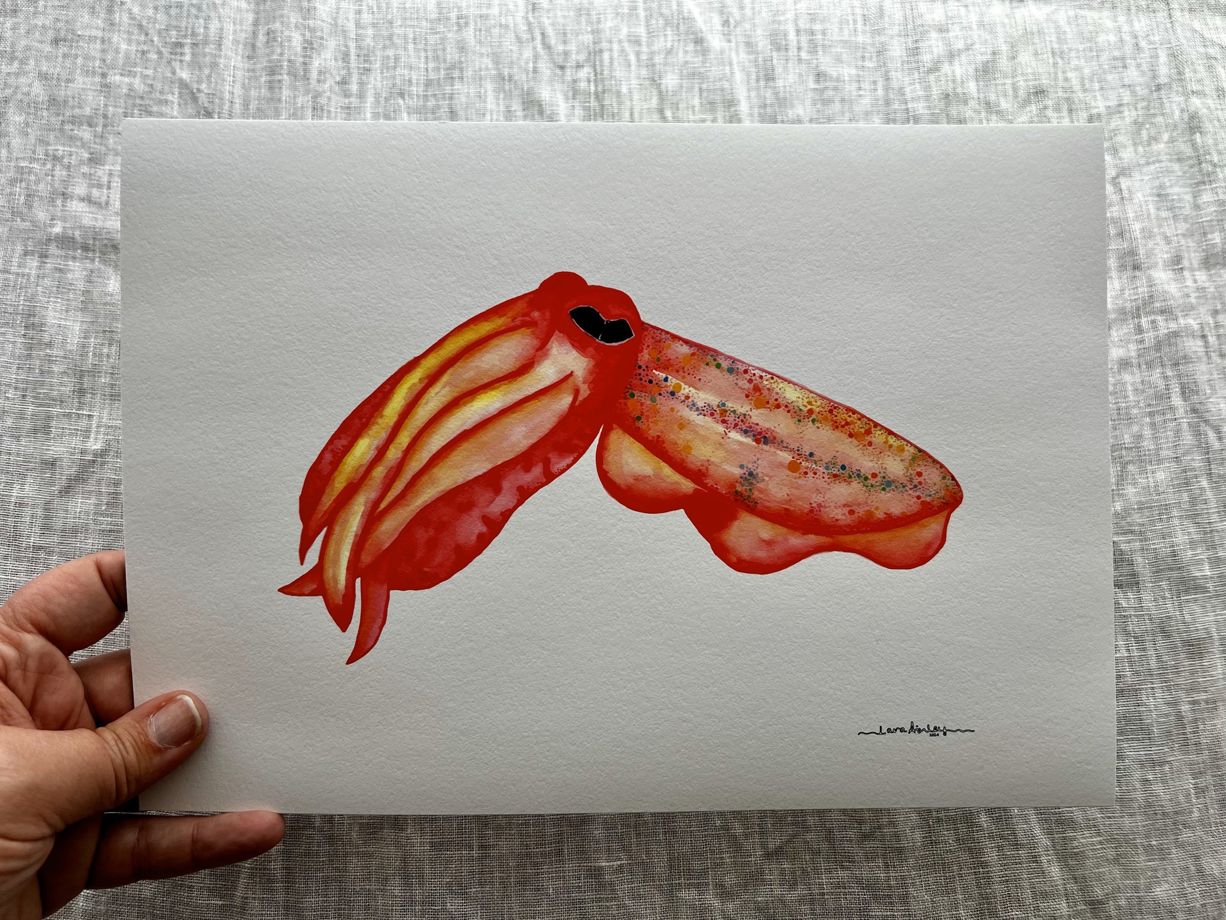 red_cuttlefish_oceanelier_watercolour_fine_art_print_03.jpg